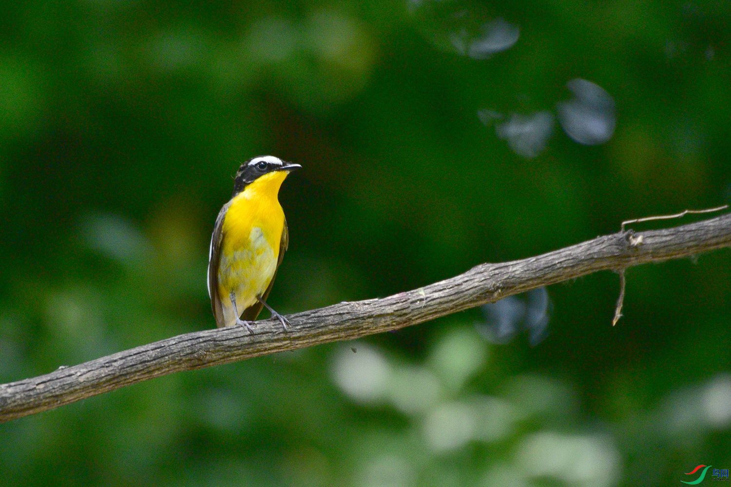DSC_6078.JPG