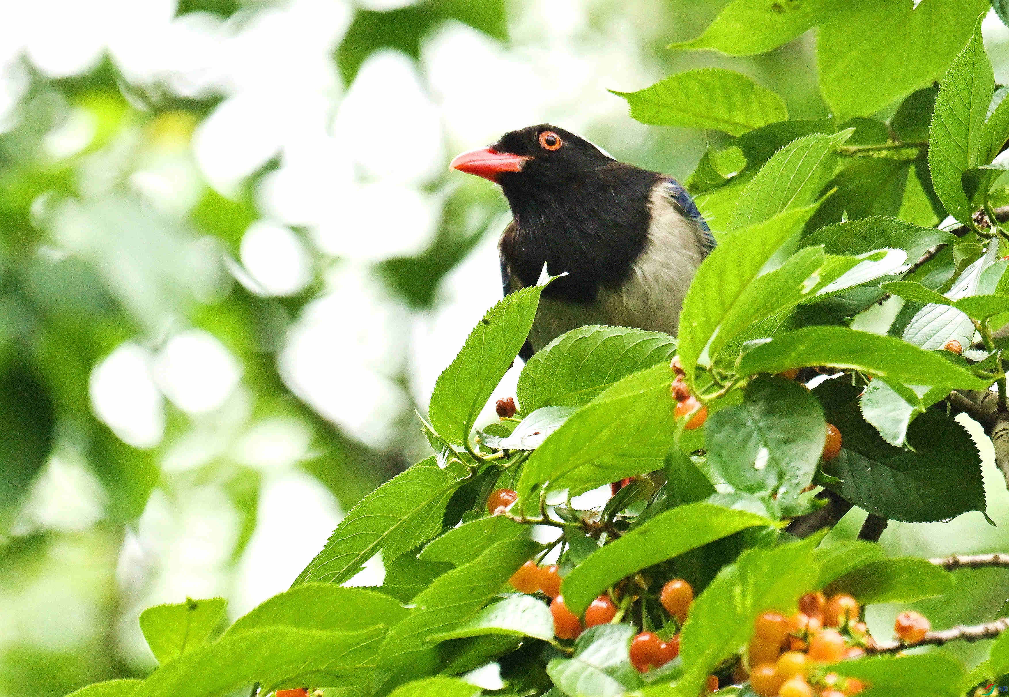 DSC_8716.JPG