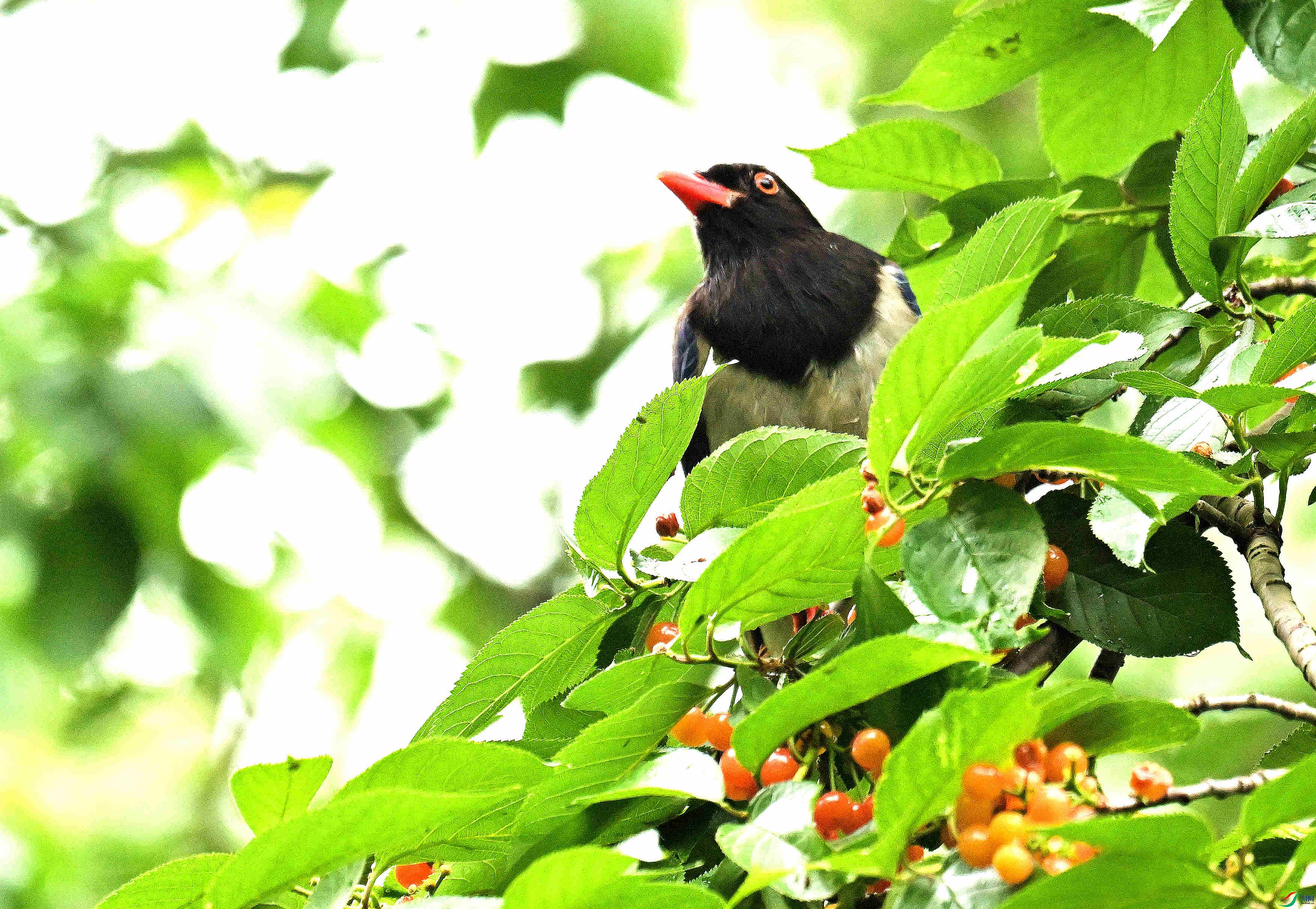 DSC_8727.JPG