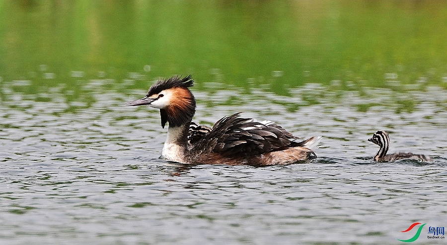 DSC_3582.JPG