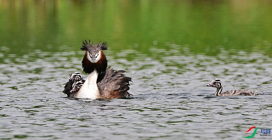 DSC_3584.JPG