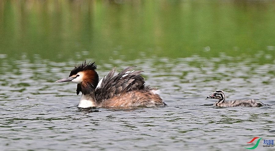 DSC_3588.JPG