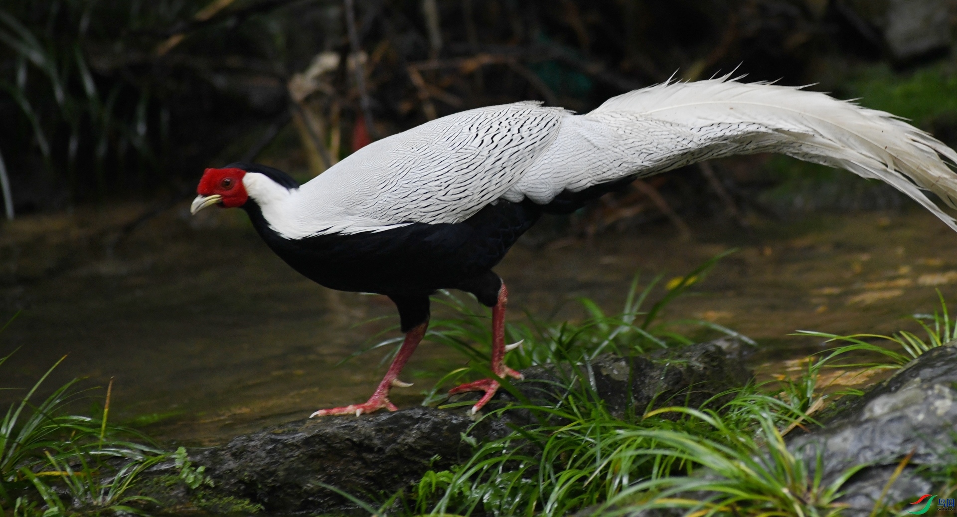 DSC_6863.jpg