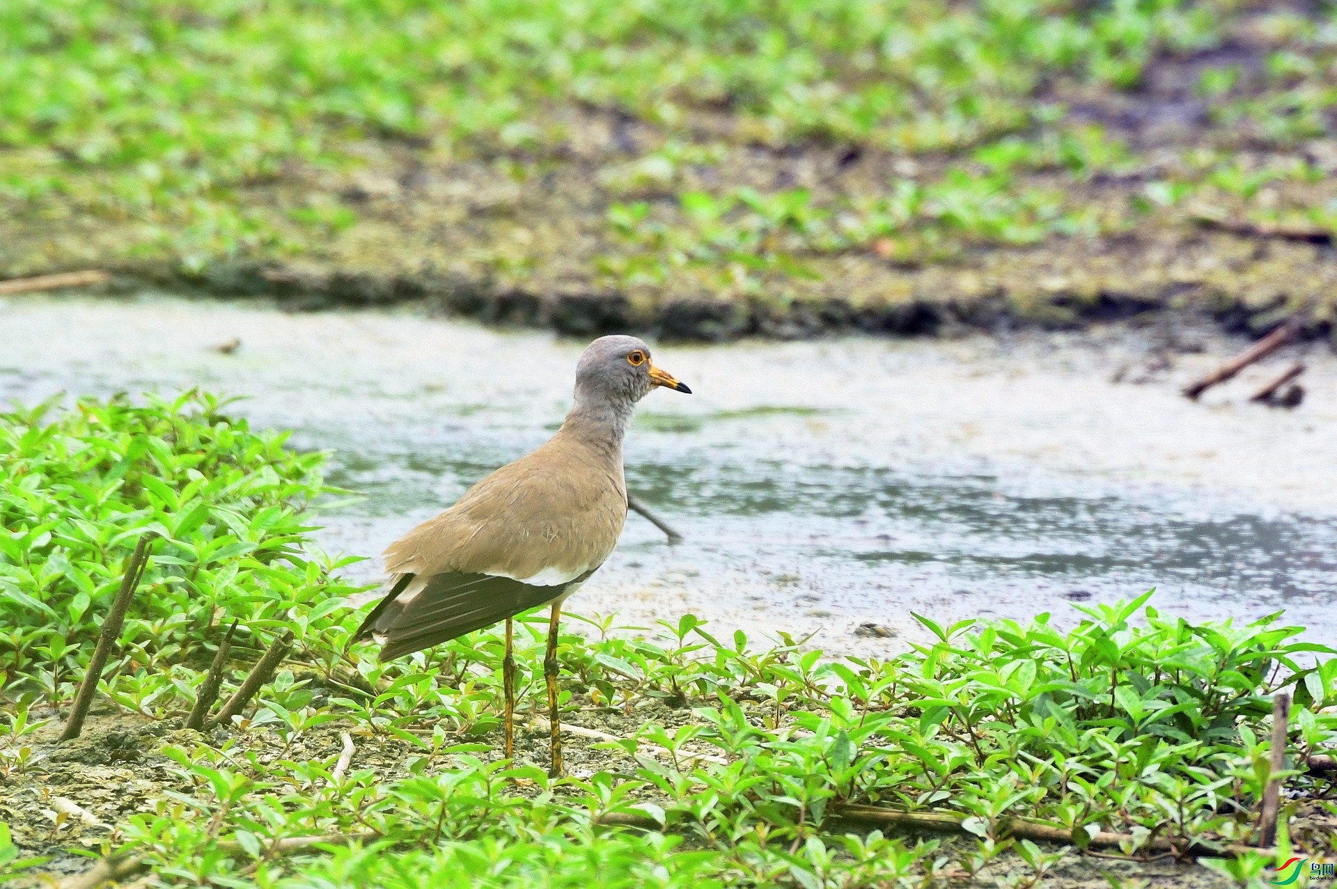 DSC_8674.jpg