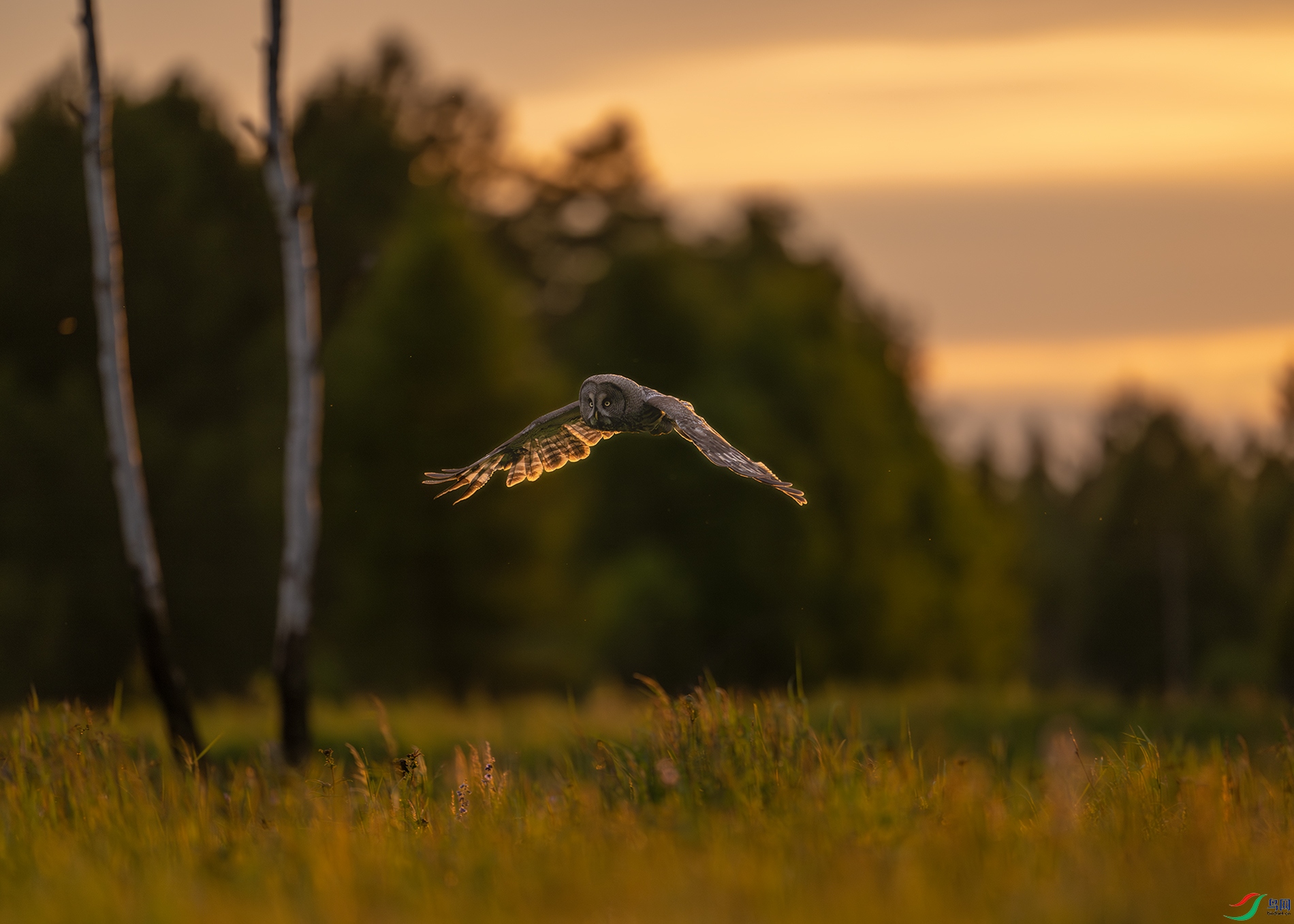 _DSC0874 ���� 1920.jpg