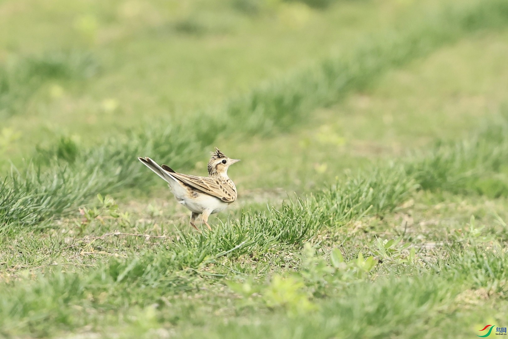 С ��ȸ��_98A3593.jpg