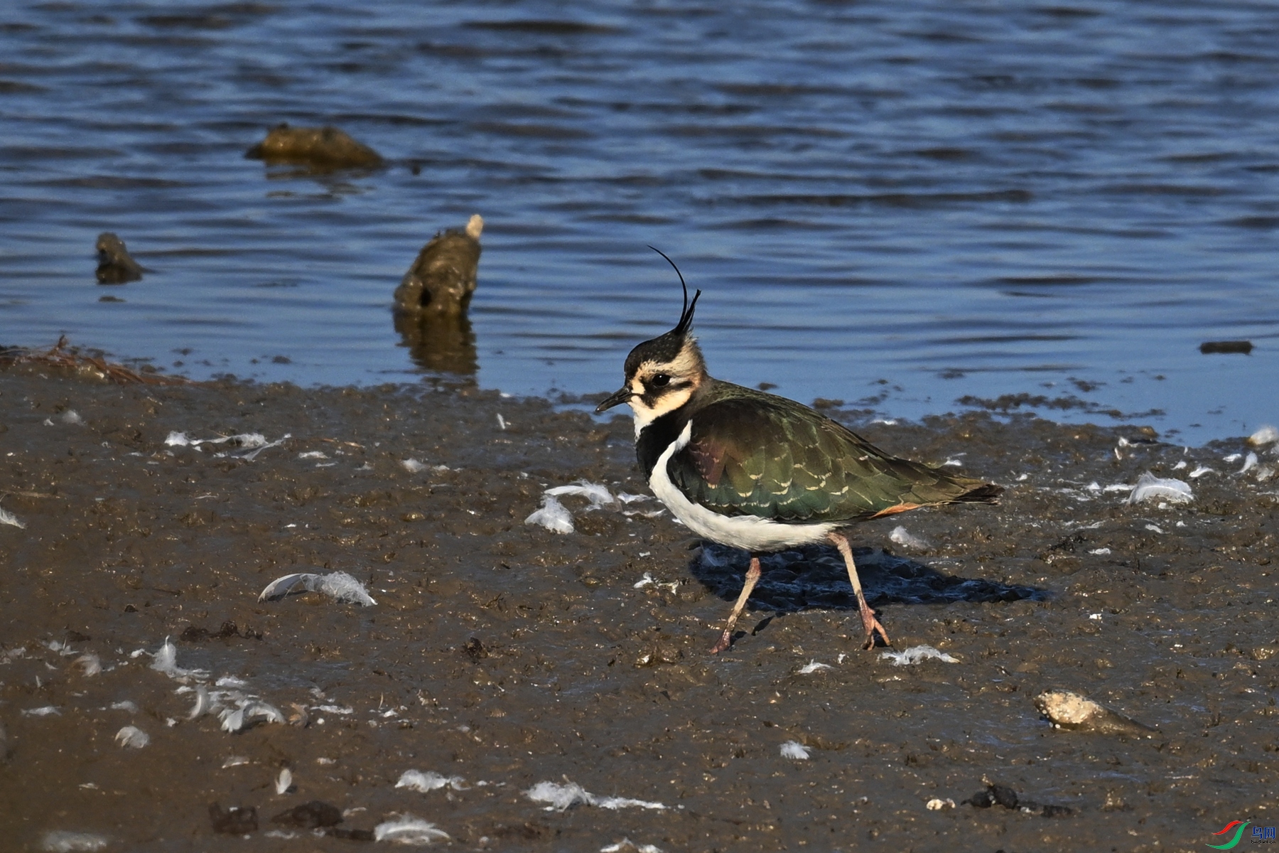DSC_8673.JPG