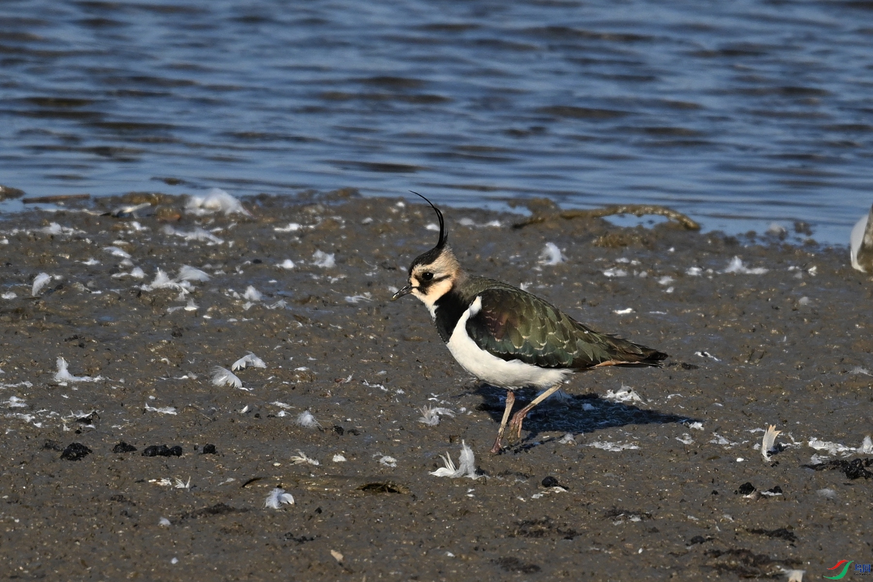 DSC_8674.JPG