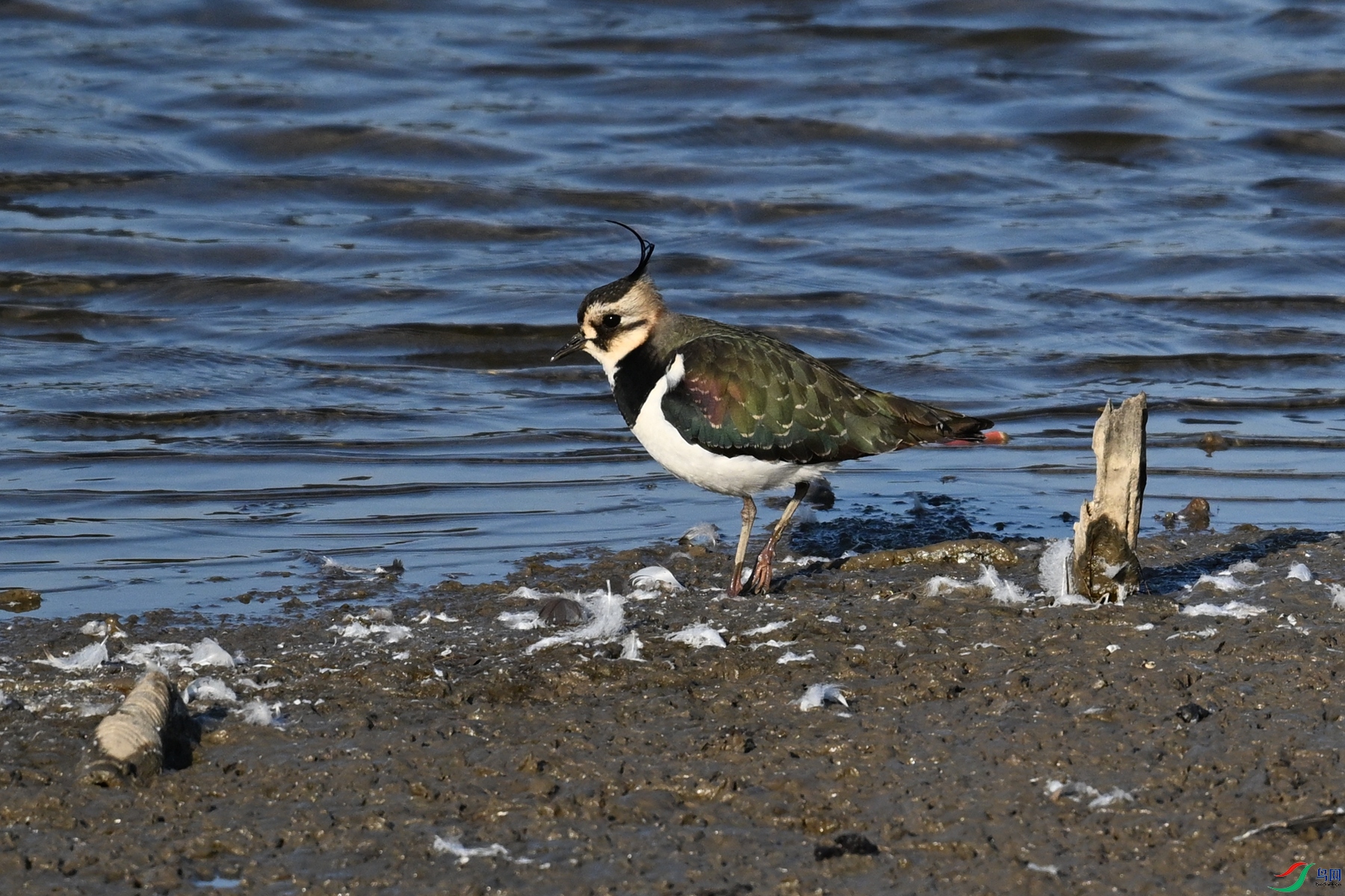 DSC_8682.JPG