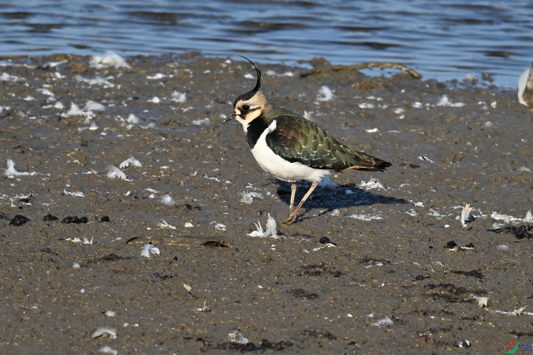 DSC_8679.JPG