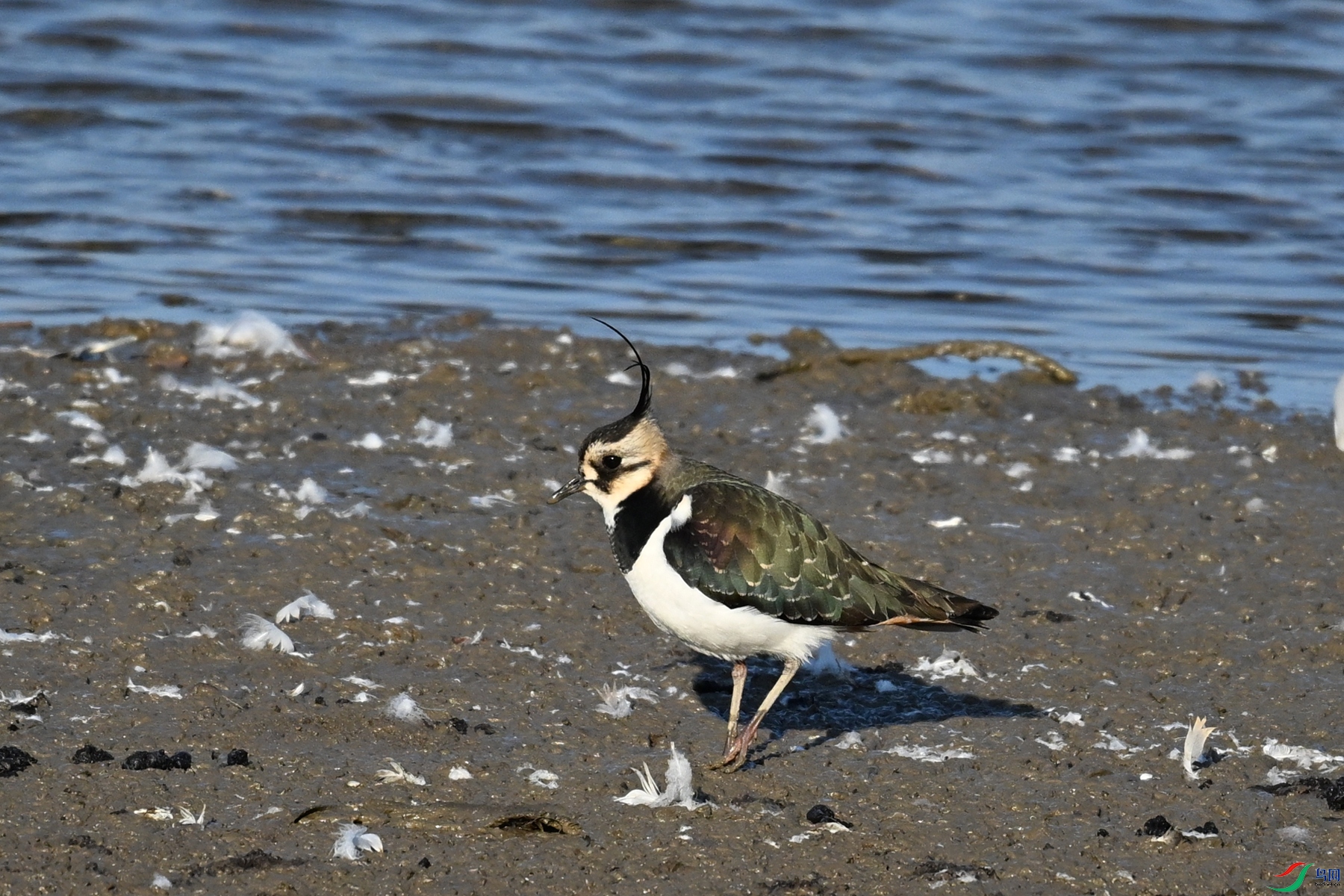 DSC_8680.JPG