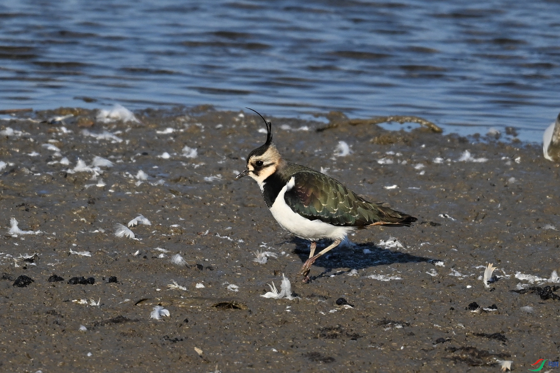 DSC_8675.JPG