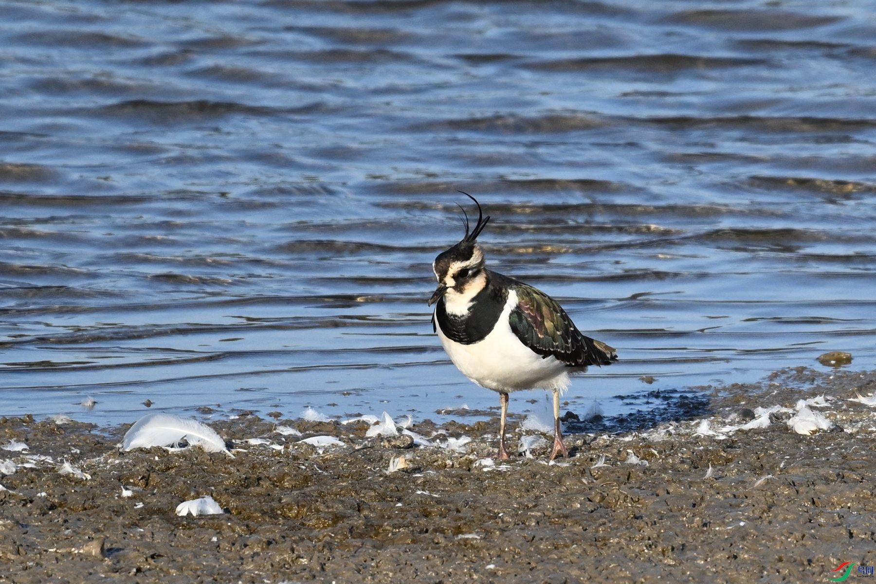 DSC_8693.JPG