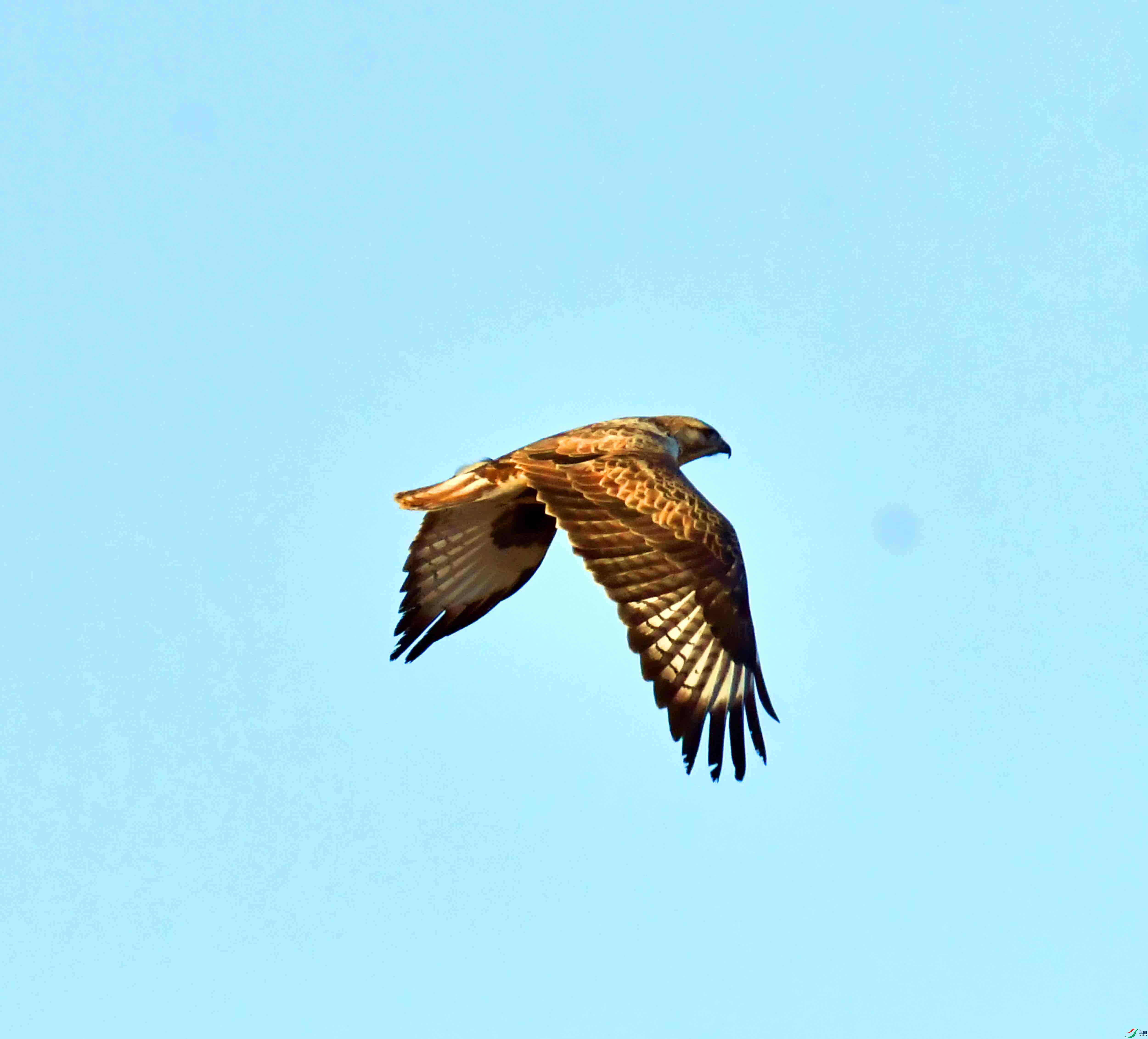 DSC_0306.JPG