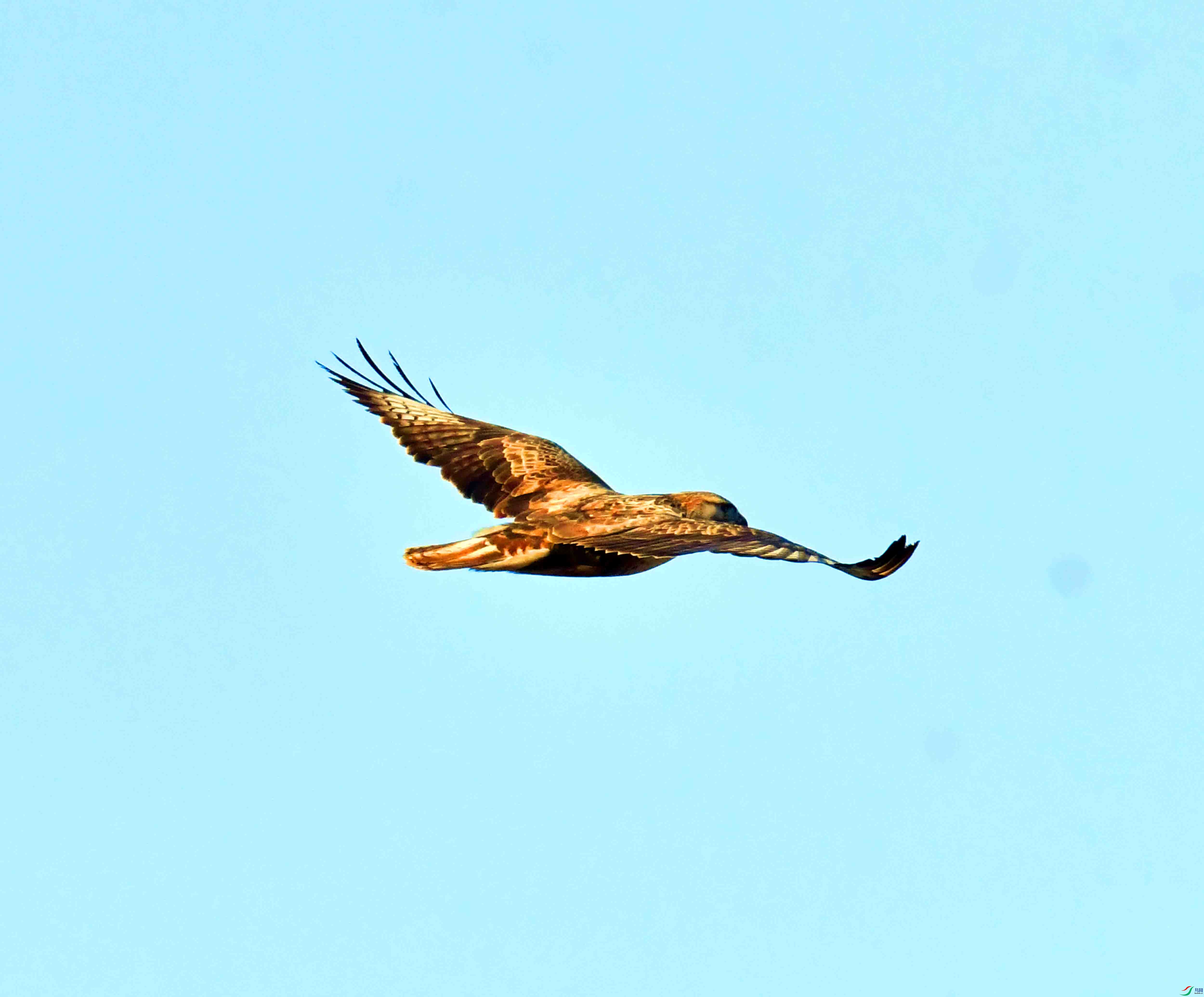 DSC_0305.JPG