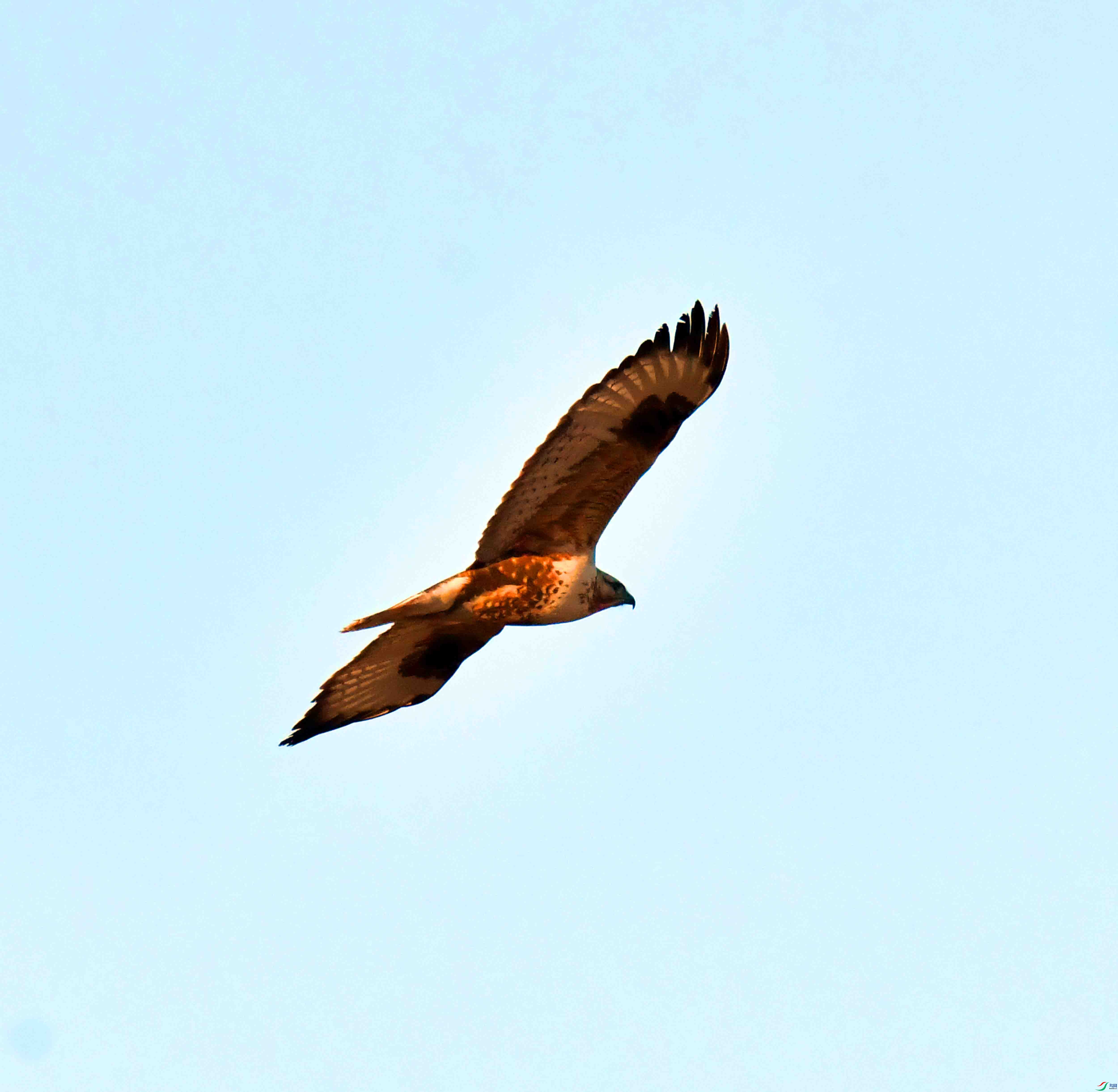 DSC_0311.JPG
