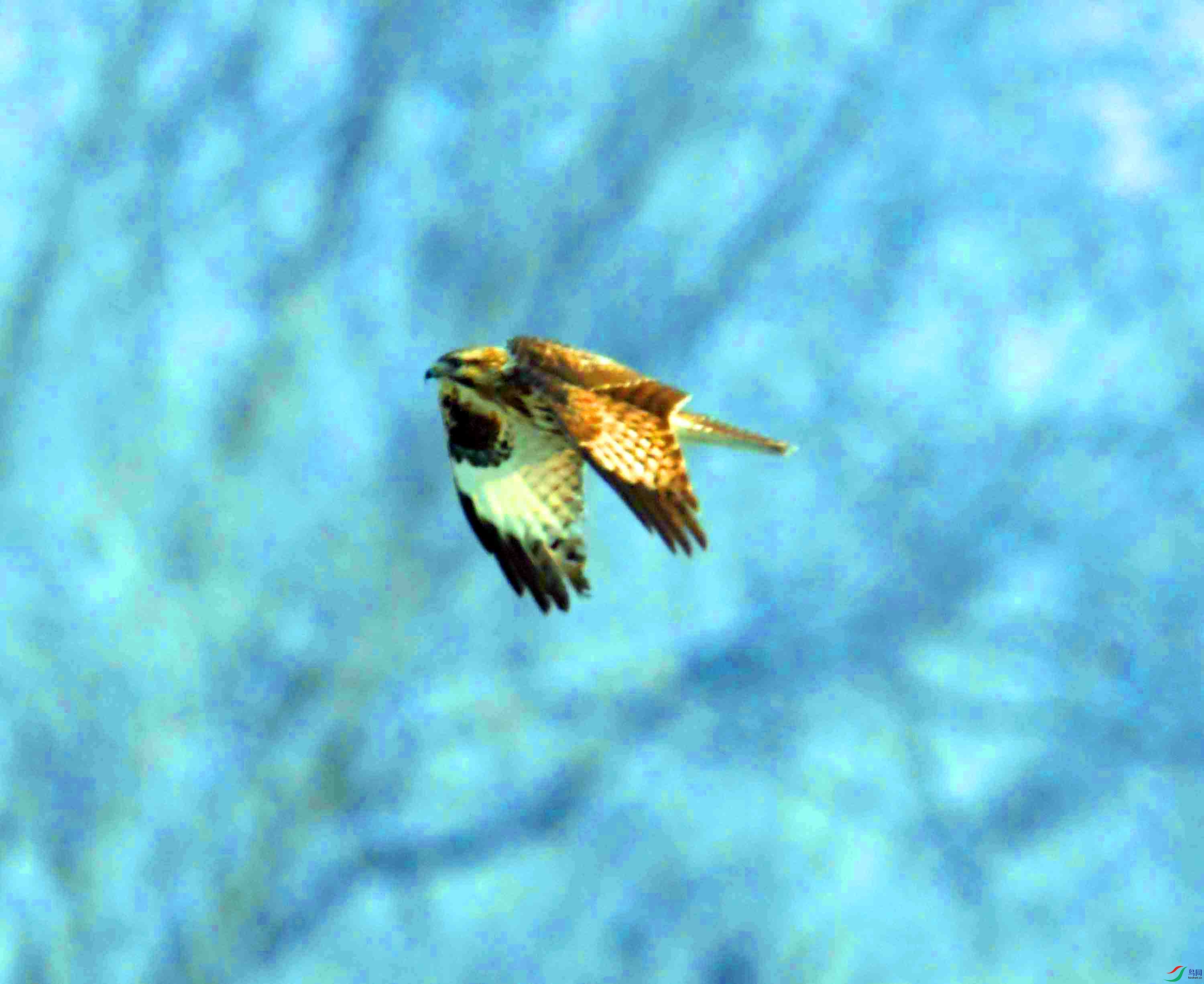 DSC_5143.JPG