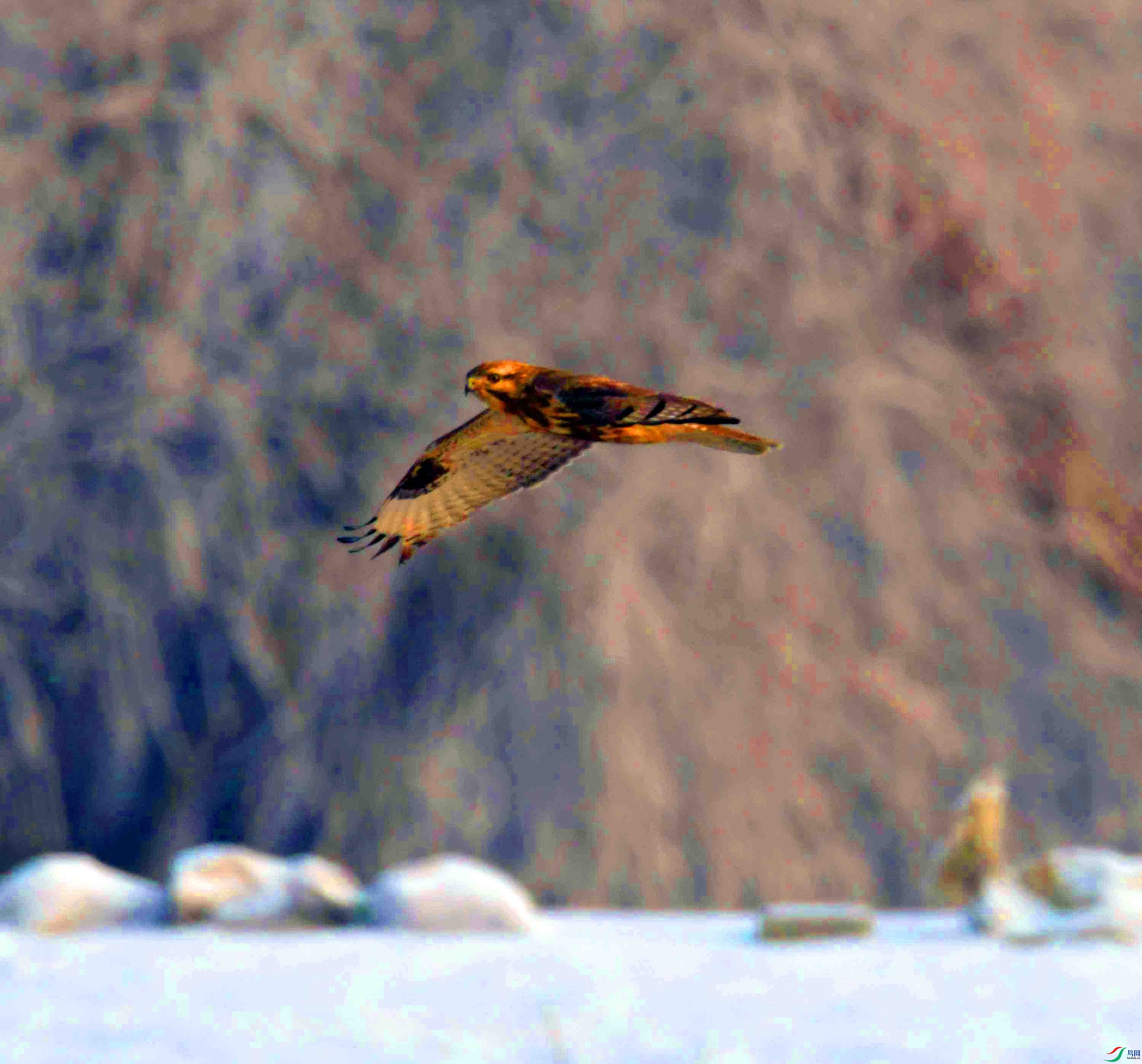 DSC_5142.JPG