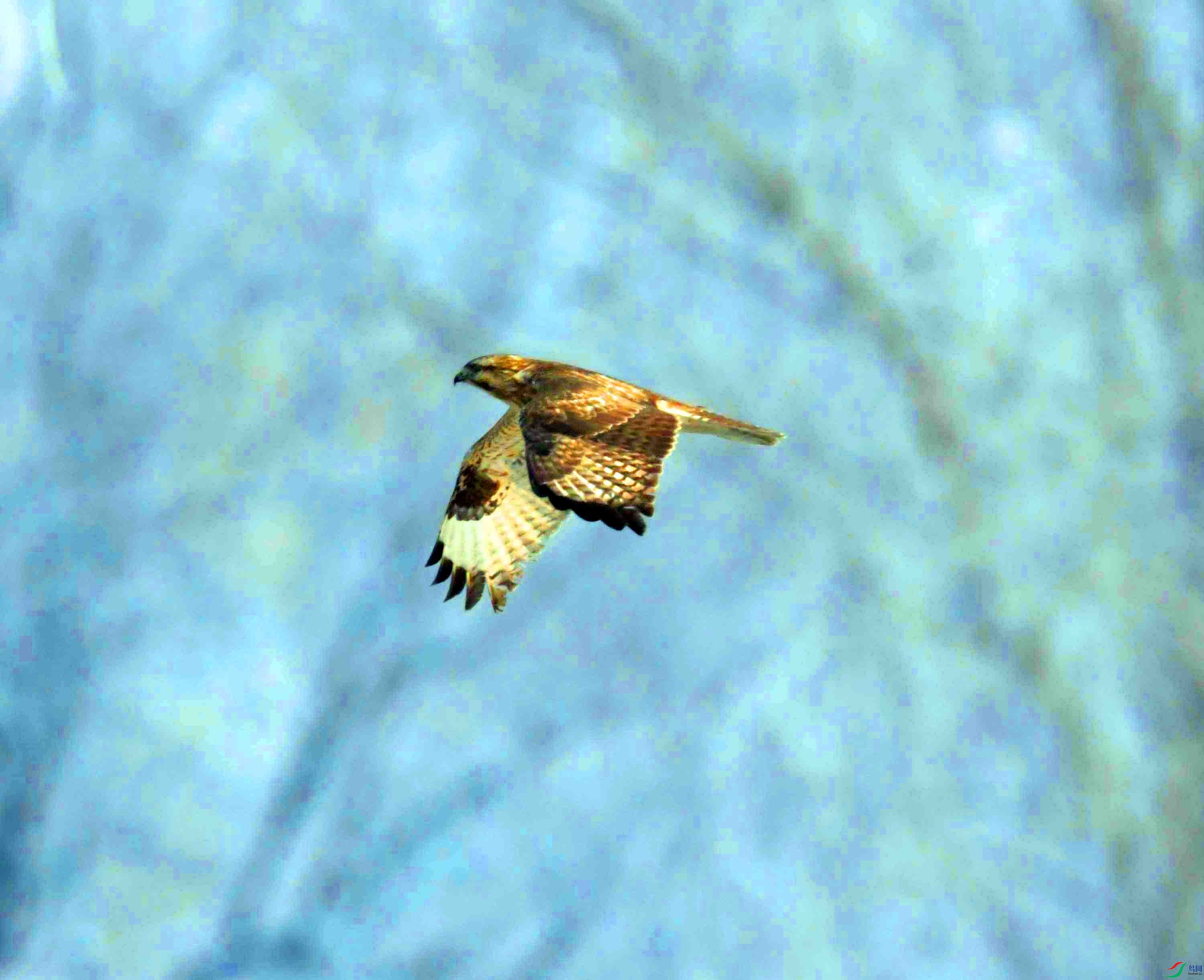 DSC_5145.JPG