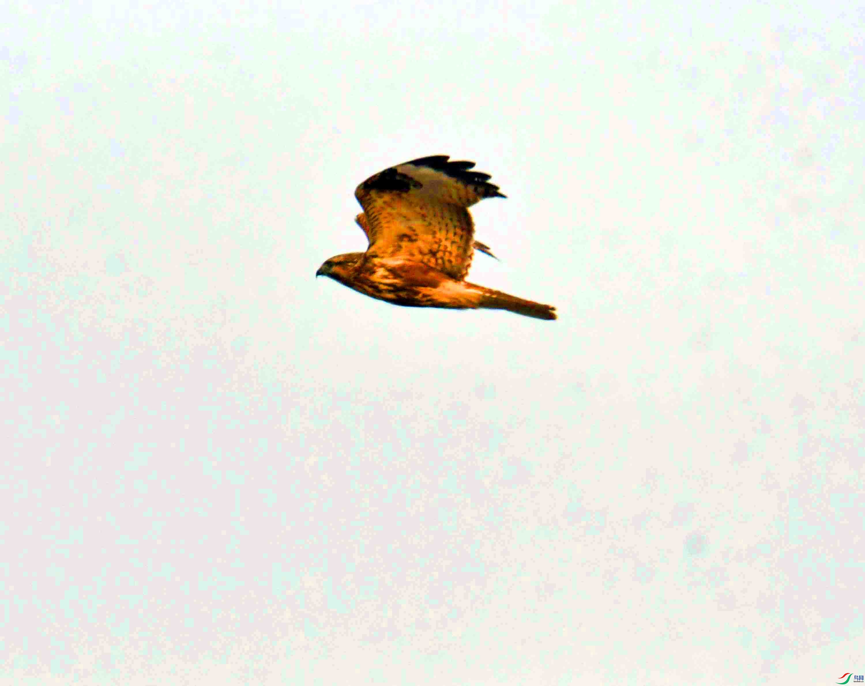 DSC_5150.JPG