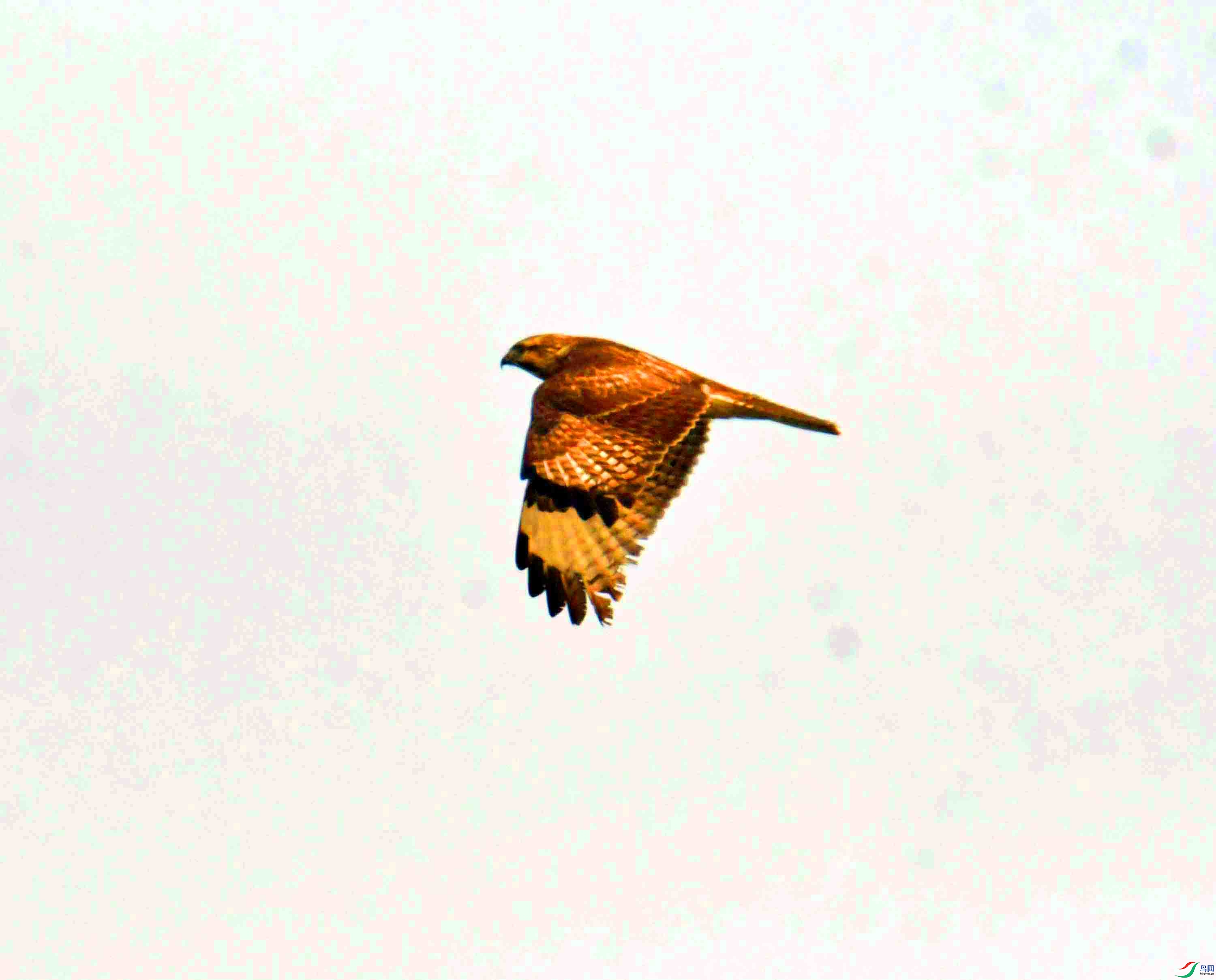 DSC_5149.JPG