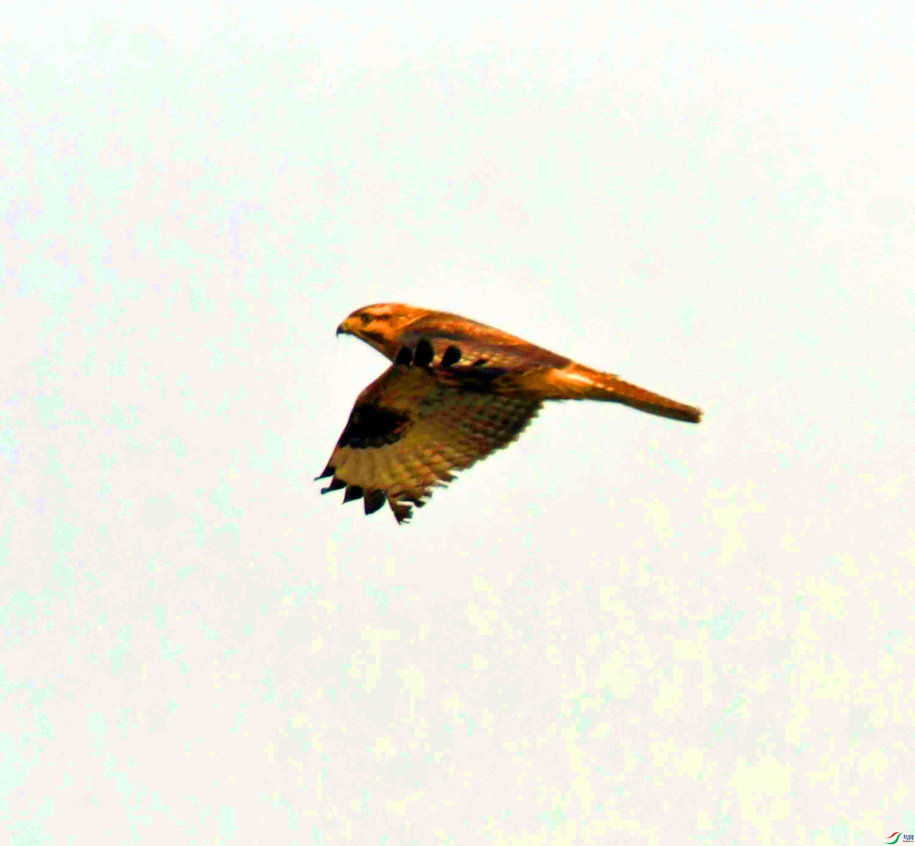 DSC_5159.JPG