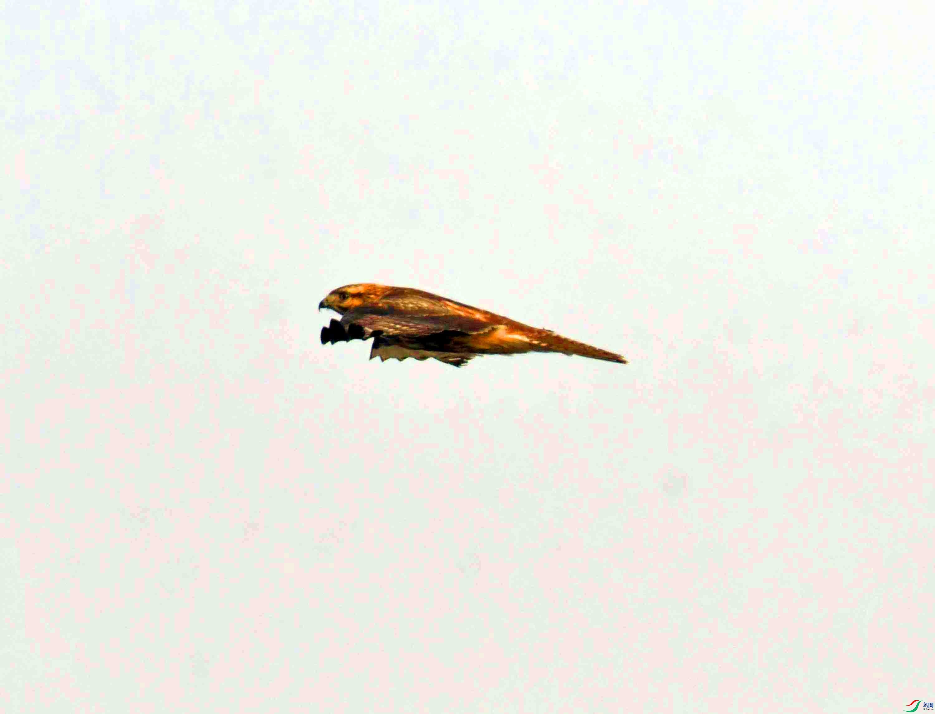 DSC_5151.JPG