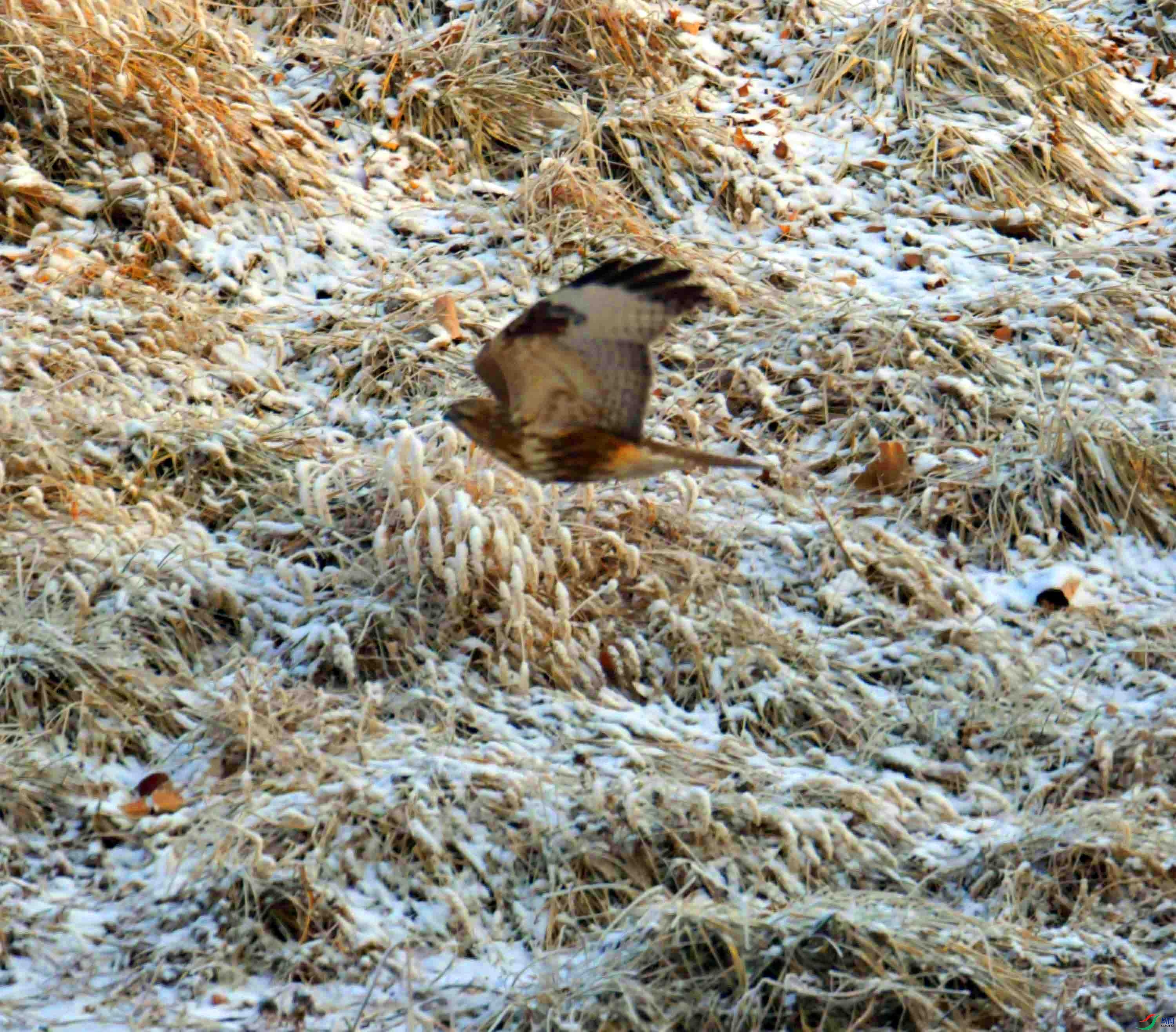DSC_5189.JPG