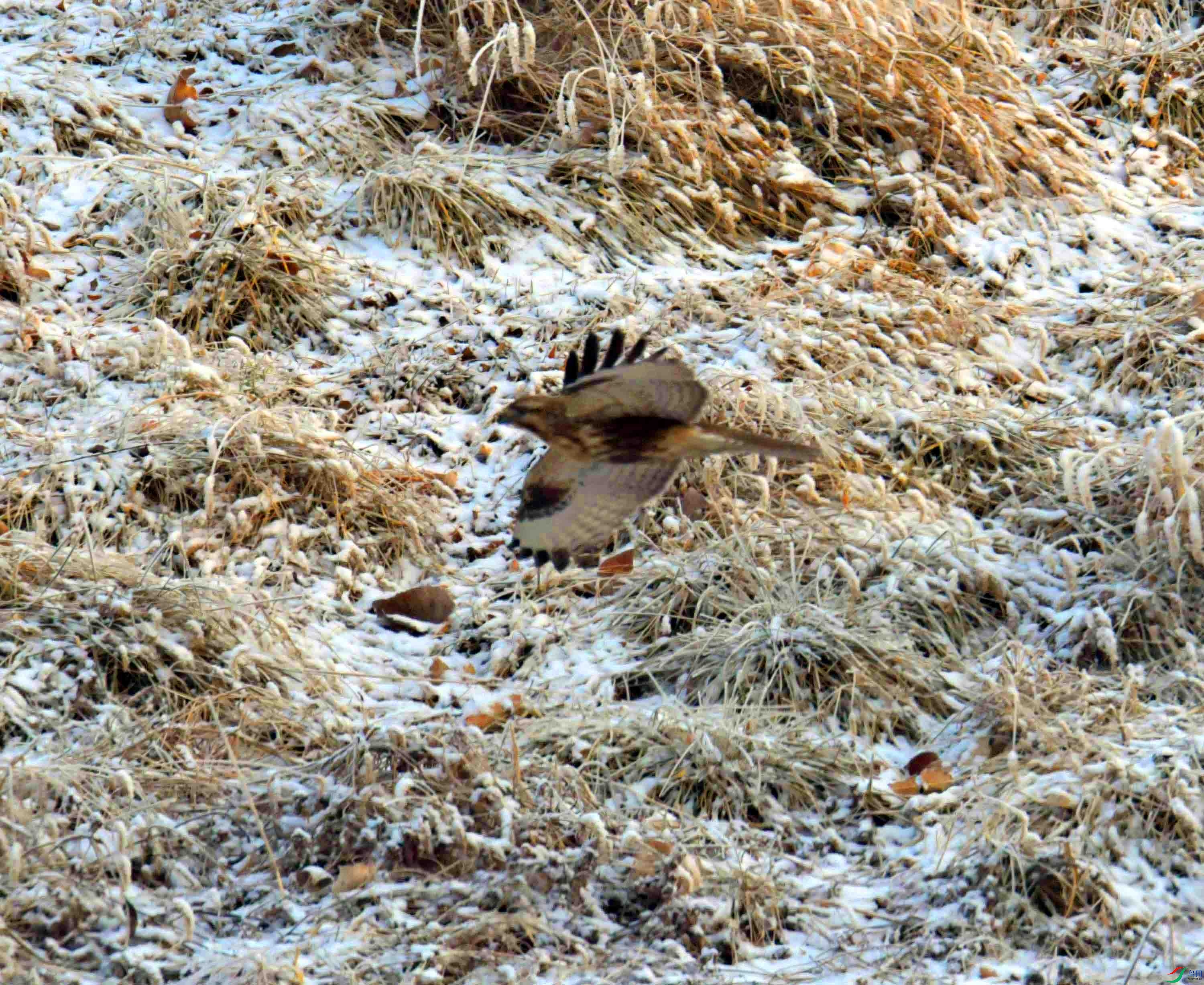 DSC_5190.JPG