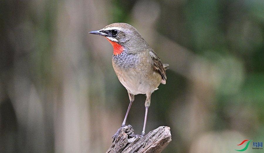 DSC_5008.JPG