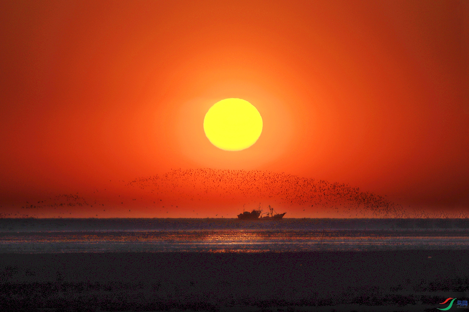 Ϧ������1.1 ����.jpg