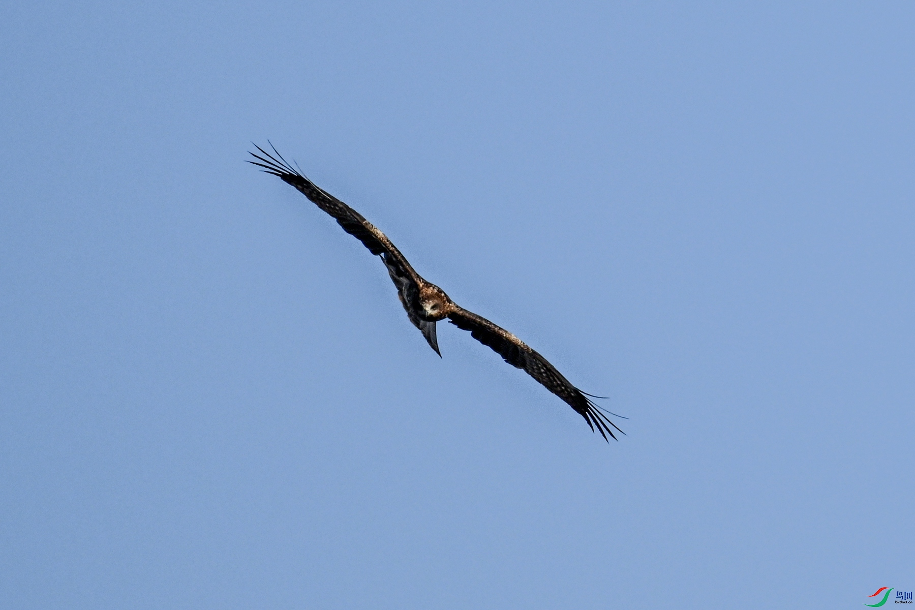 DSC_8502.JPG