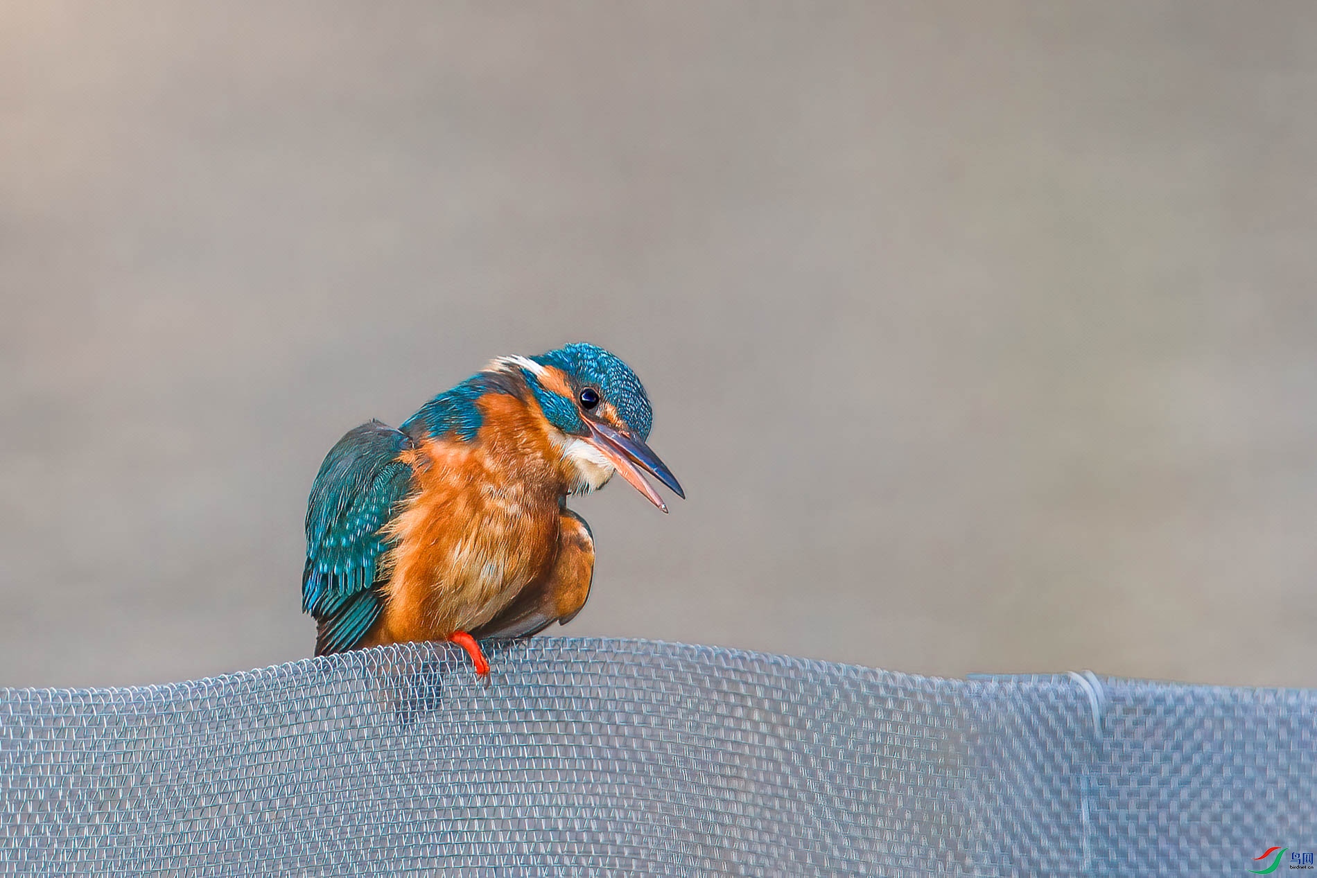 AQ4P0032-1.jpg