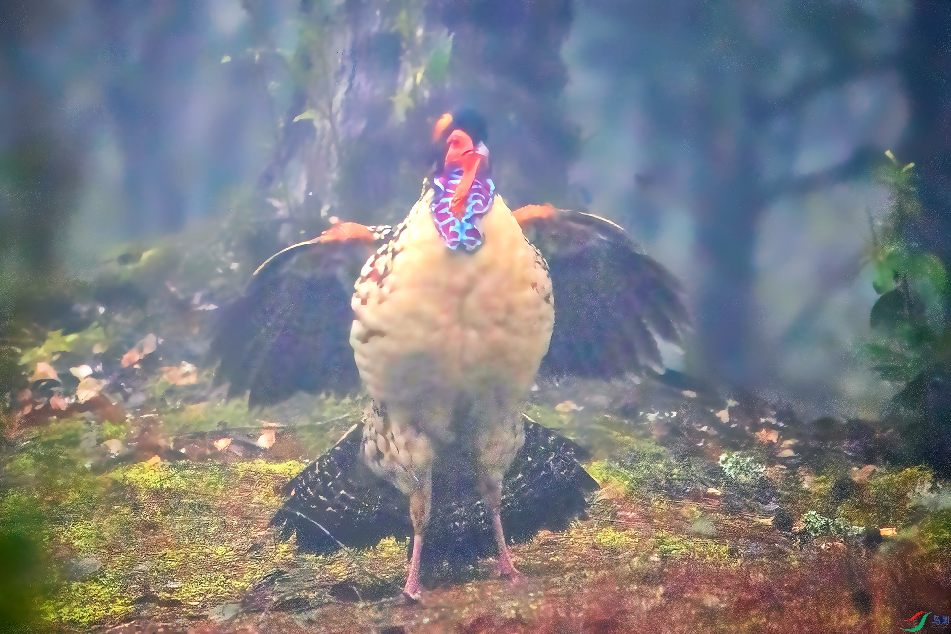 _07A3697 ����-Sha---00-Sh---1 .jpg