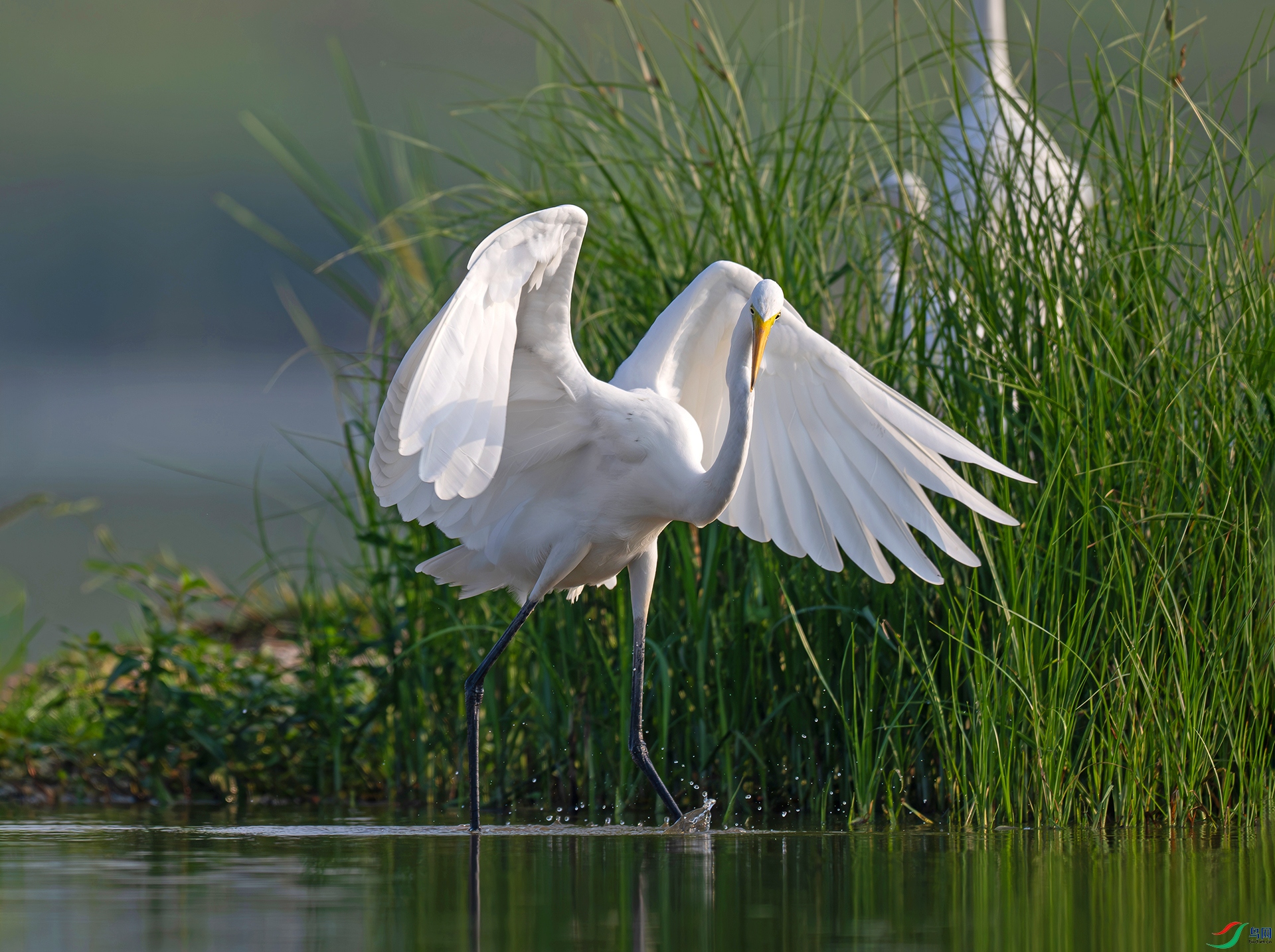 _DSC4707d2.jpg