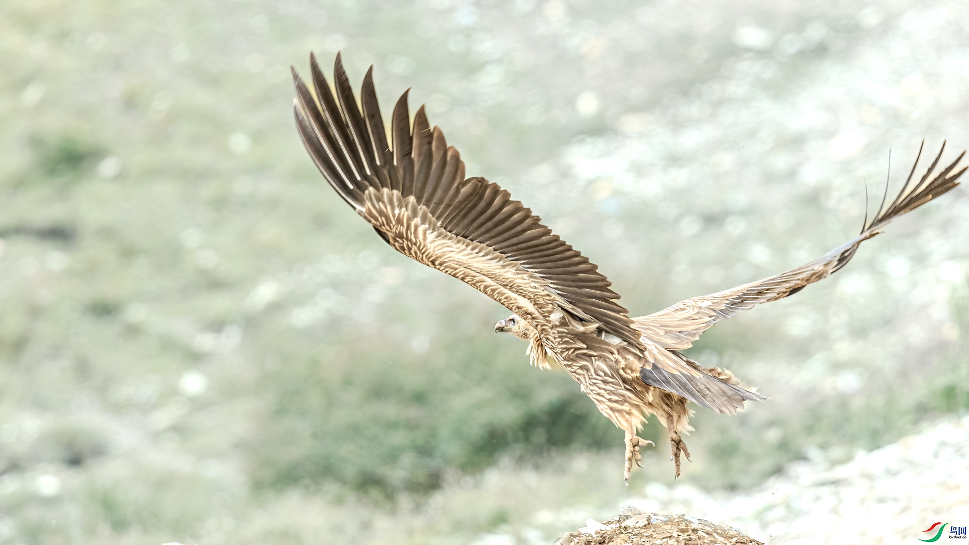 BJ1R8327-1.jpg