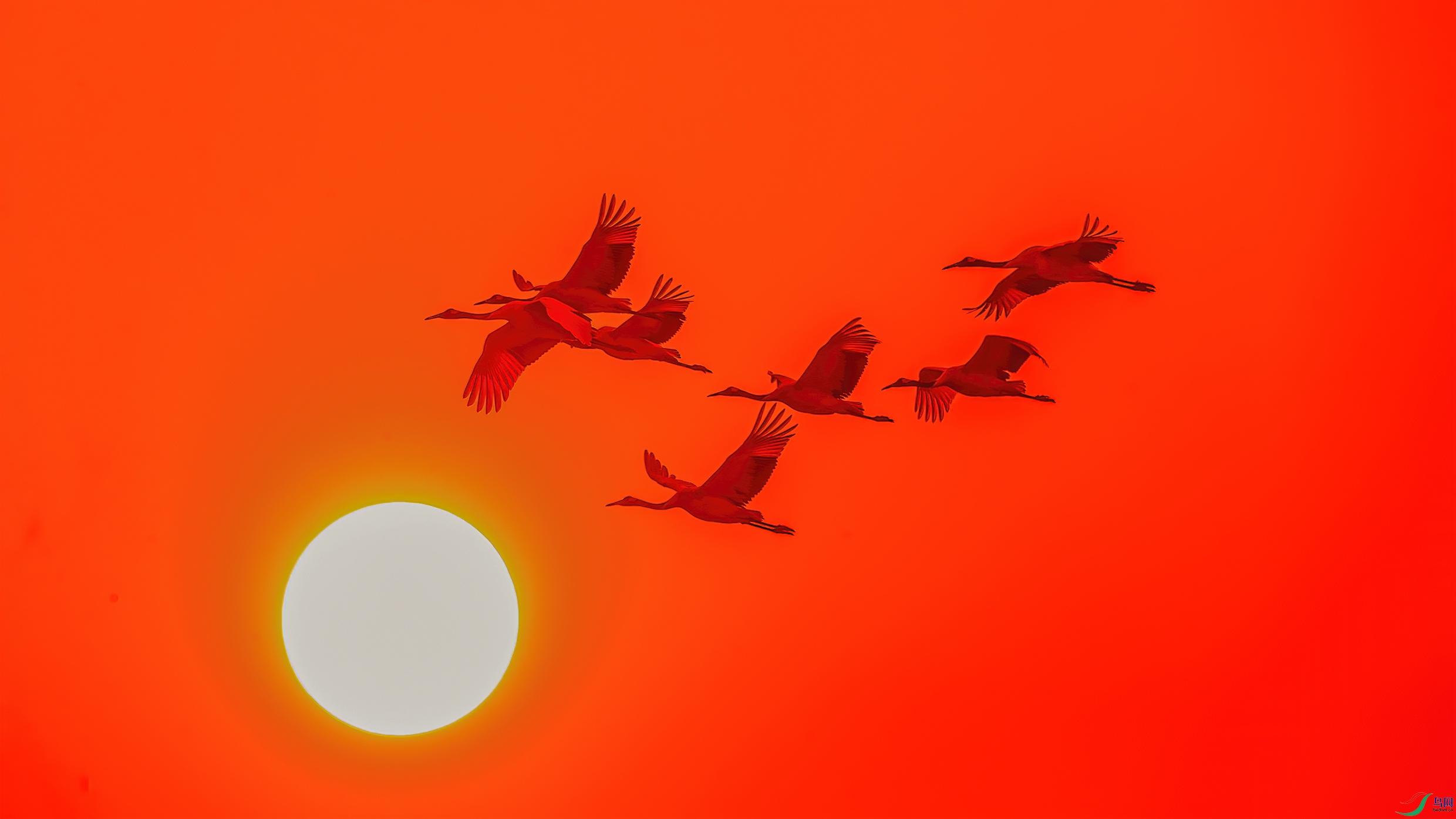 C09R9285 ����.jpg