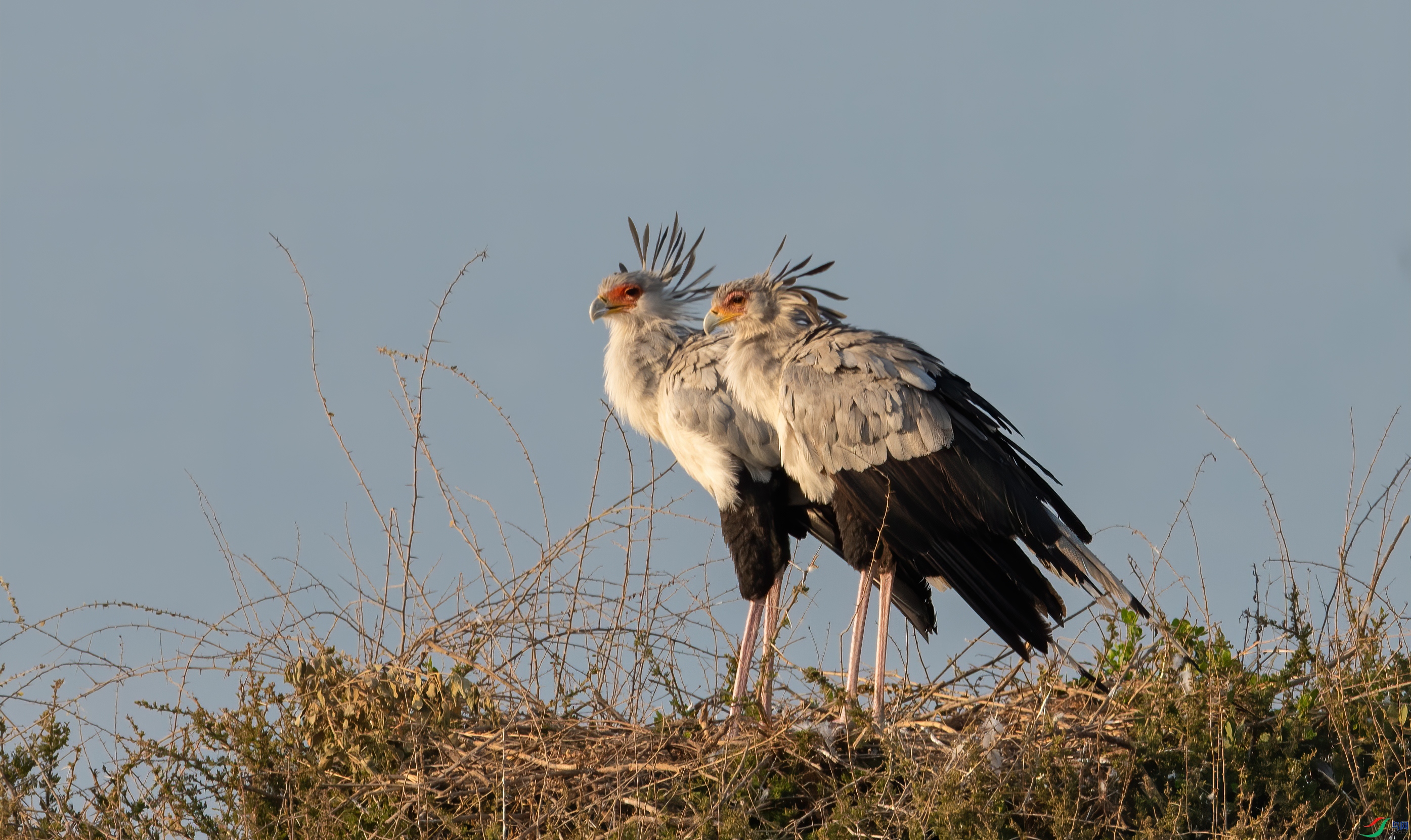 DSC_5883-1��ӥ.jpg