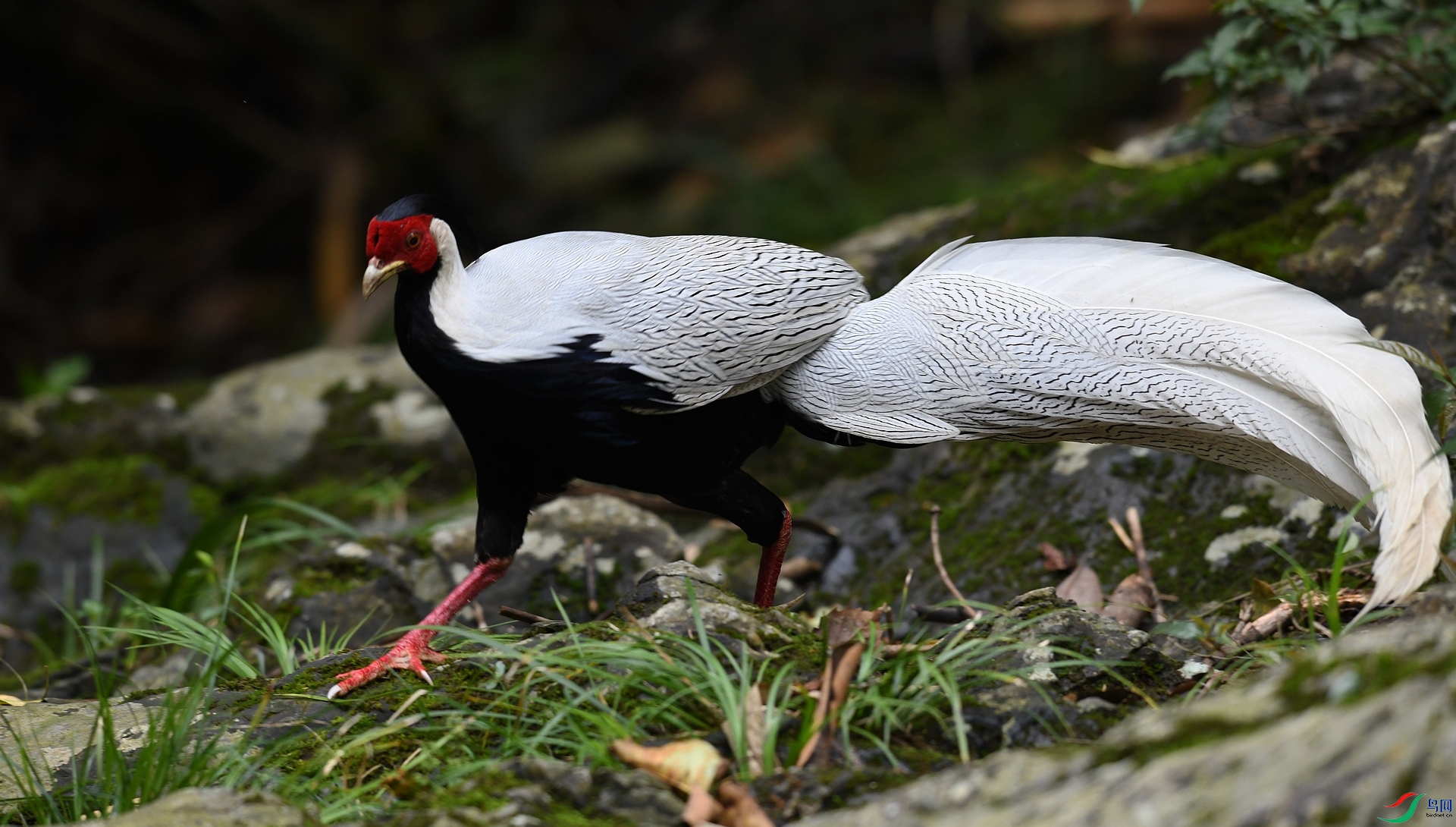 DSC_6169.jpg