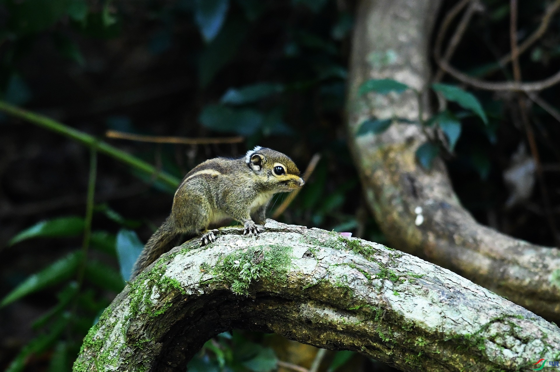 DSC_6026.jpg