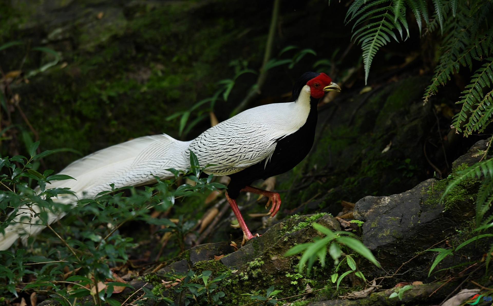DSC_7771.jpg