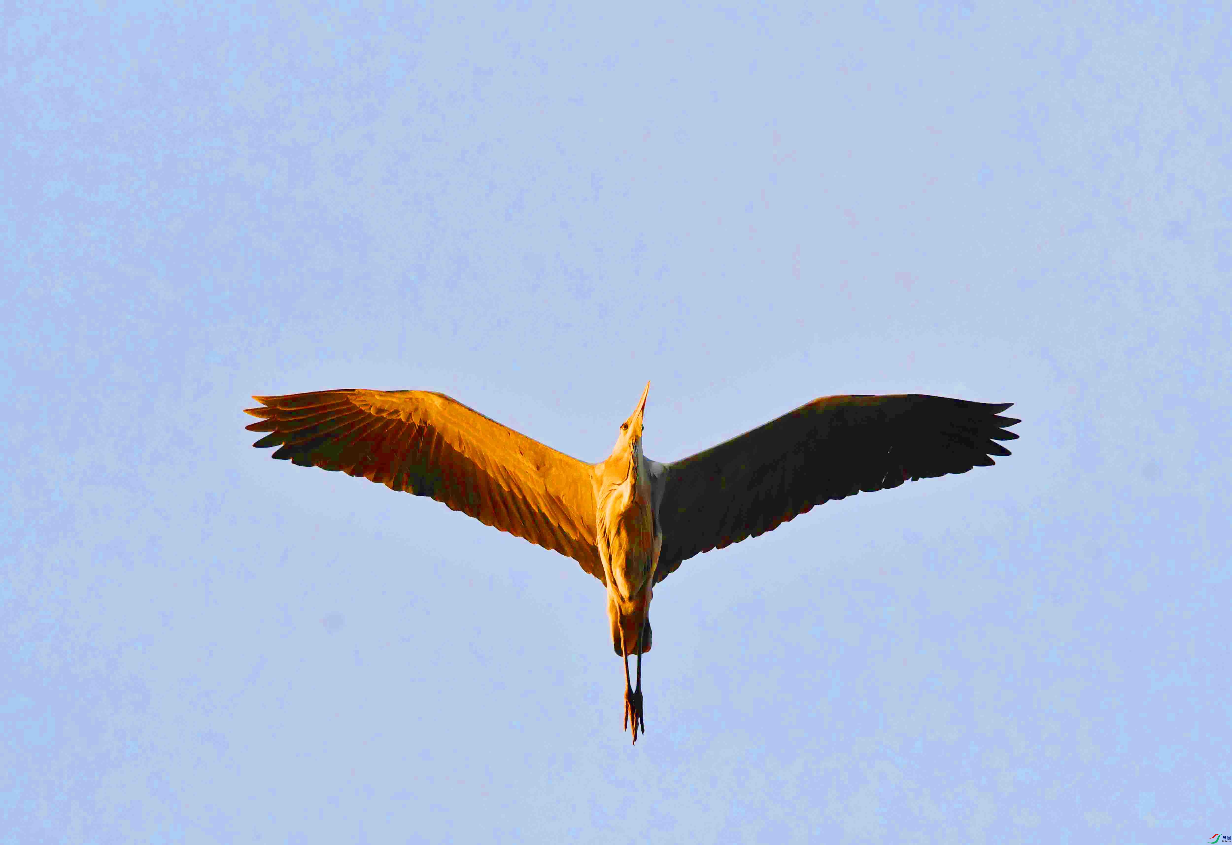 DSC_0997.JPG