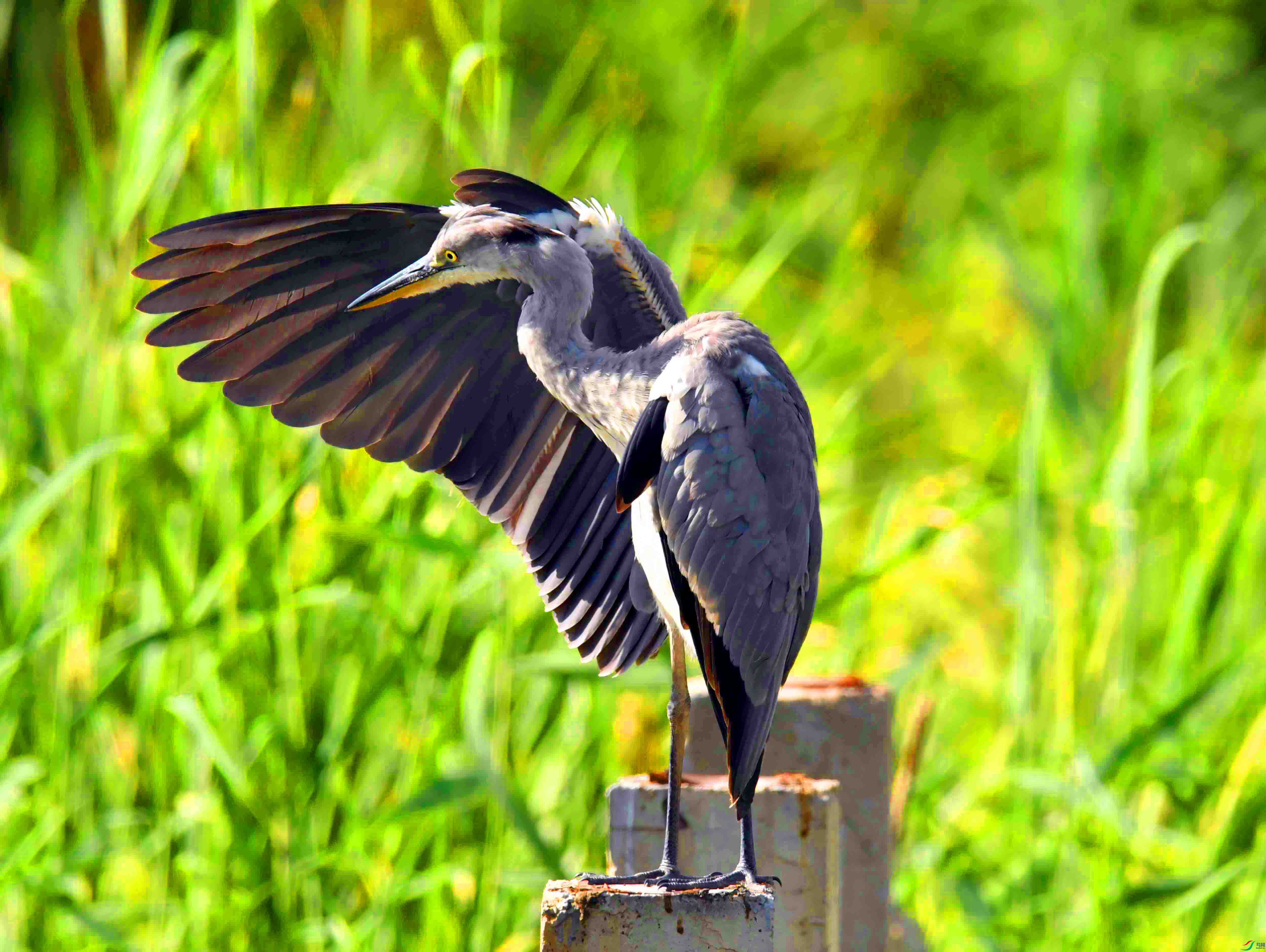 DSC_2554.JPG