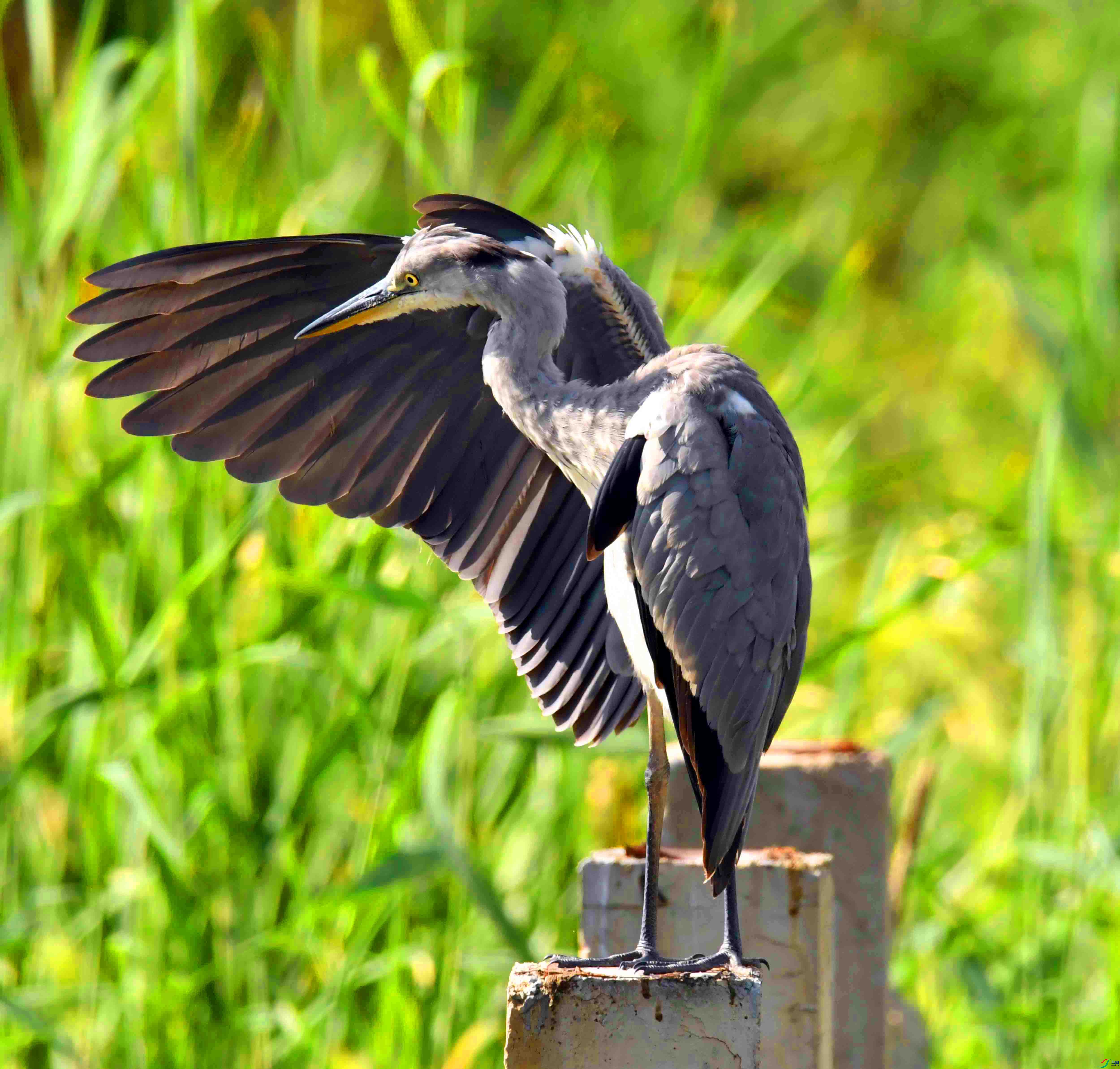 DSC_2555.JPG