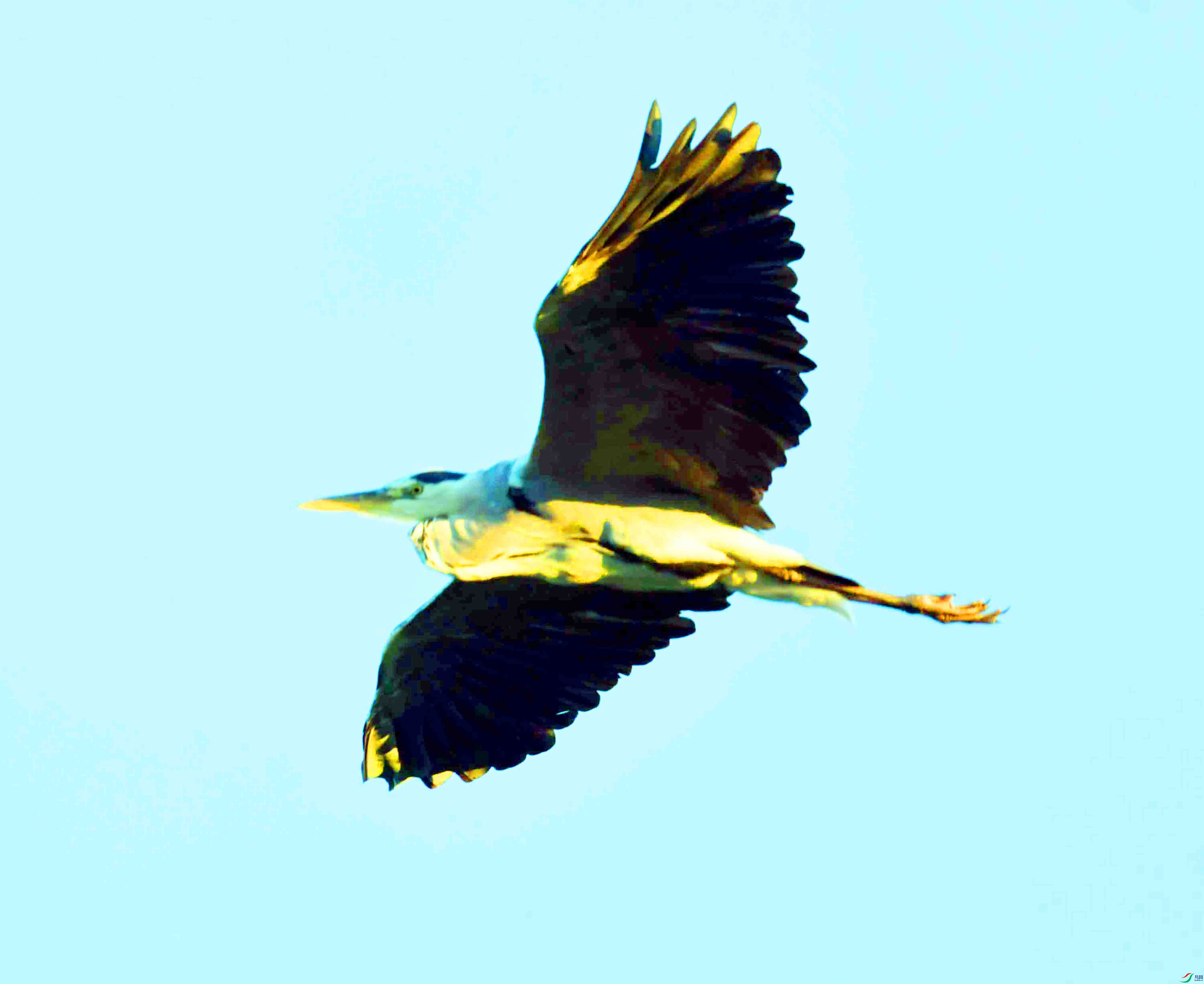 DSC_2578.JPG