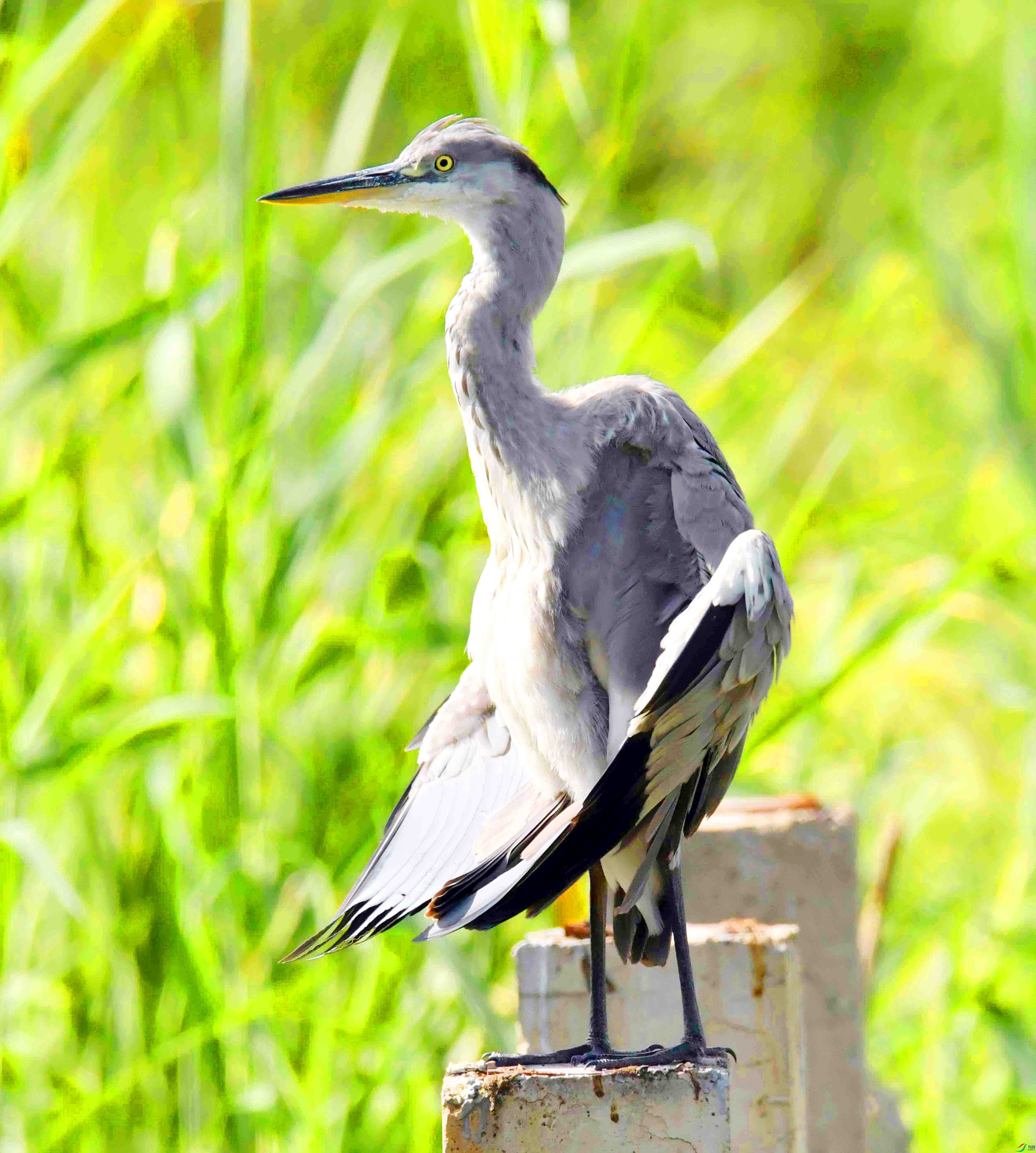 DSC_2581.JPG