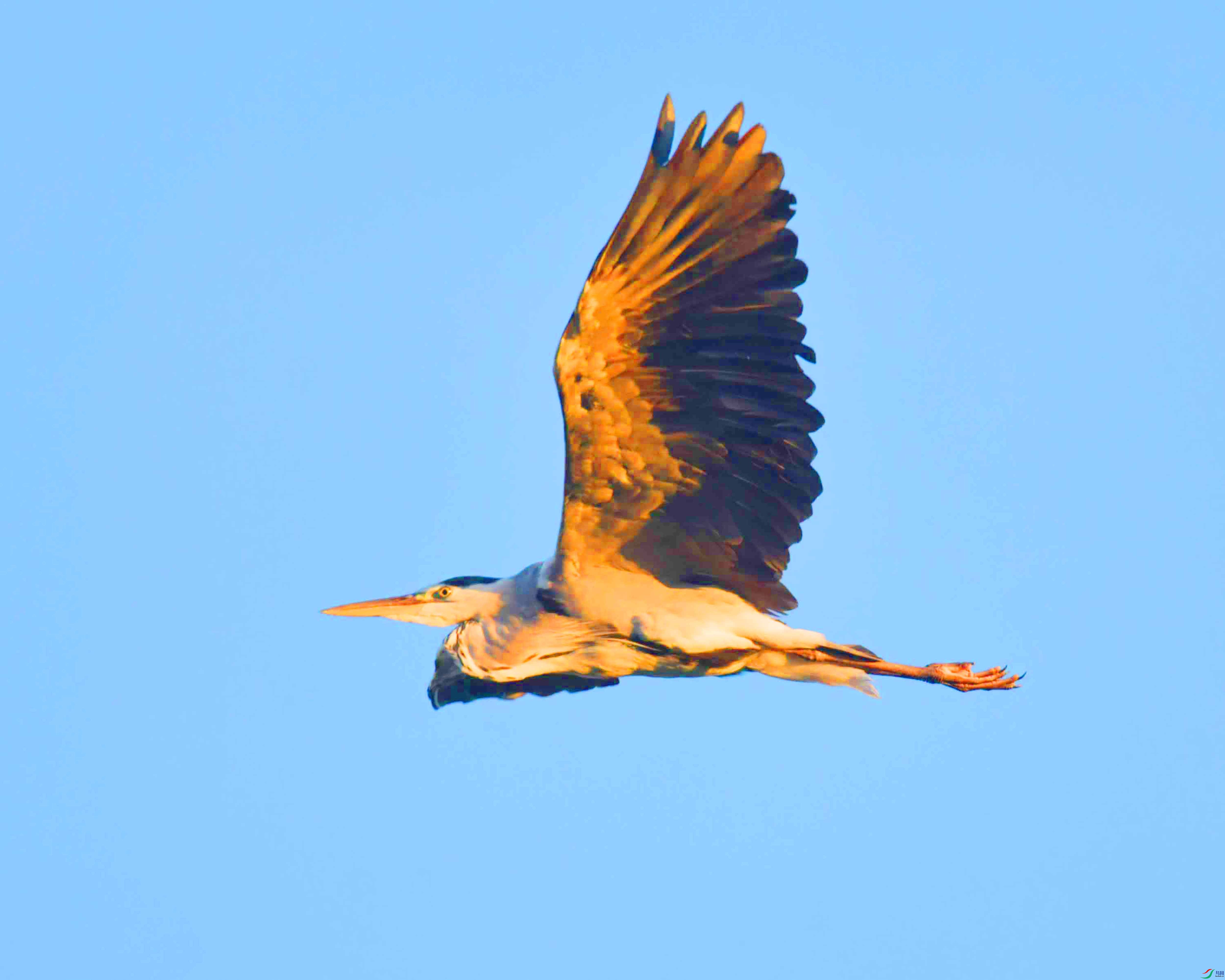 DSC_2579.JPG