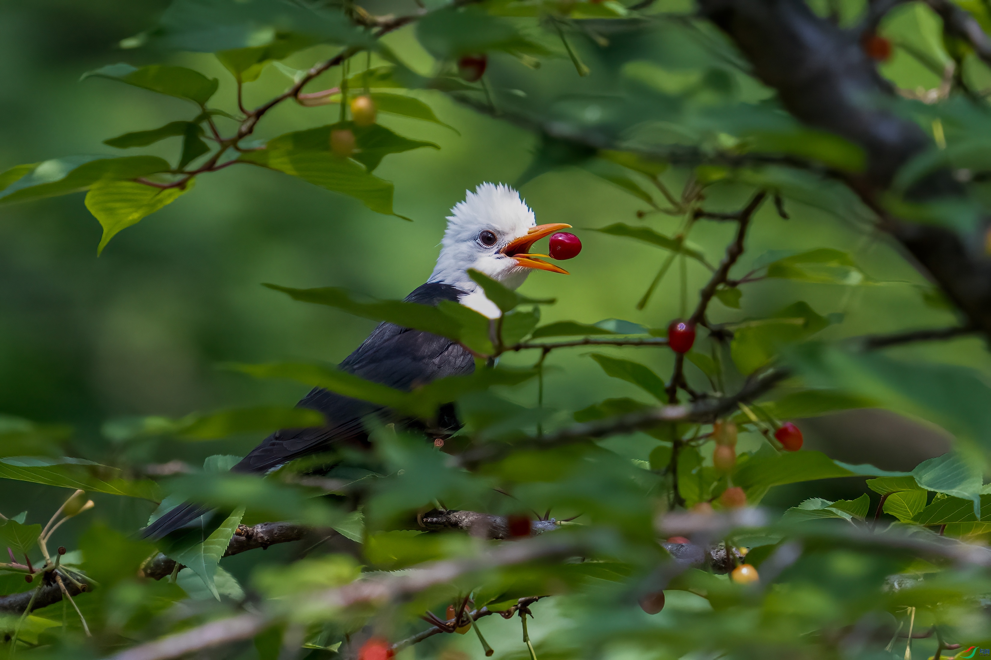 _ADS2212 - ����.jpg