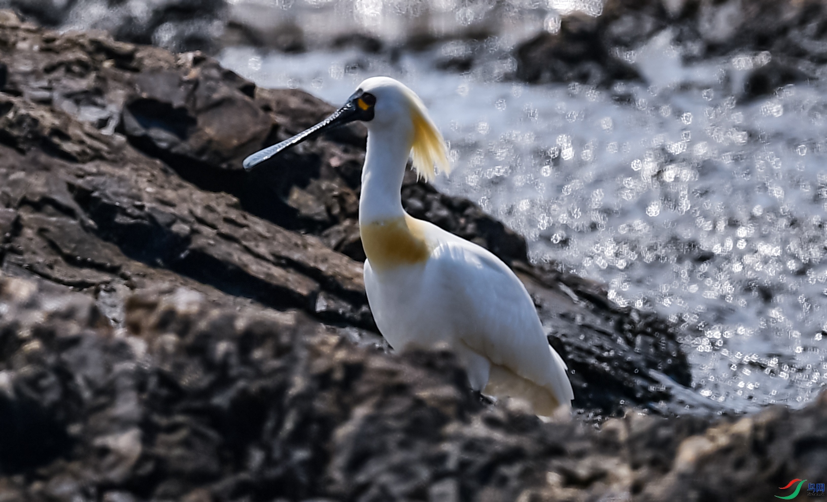 ��������319 ����.jpg