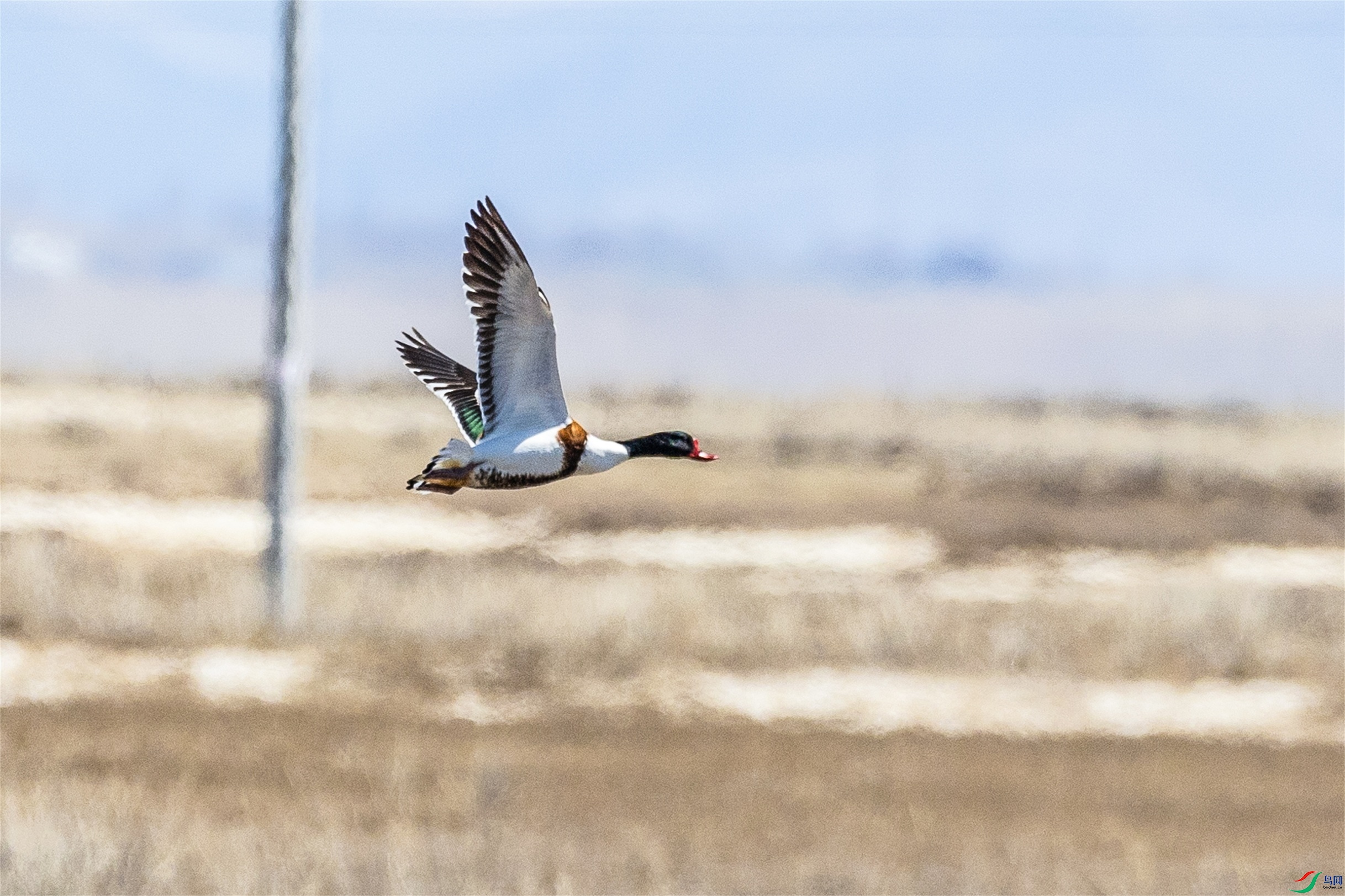 1K3A9857 ����1.jpg